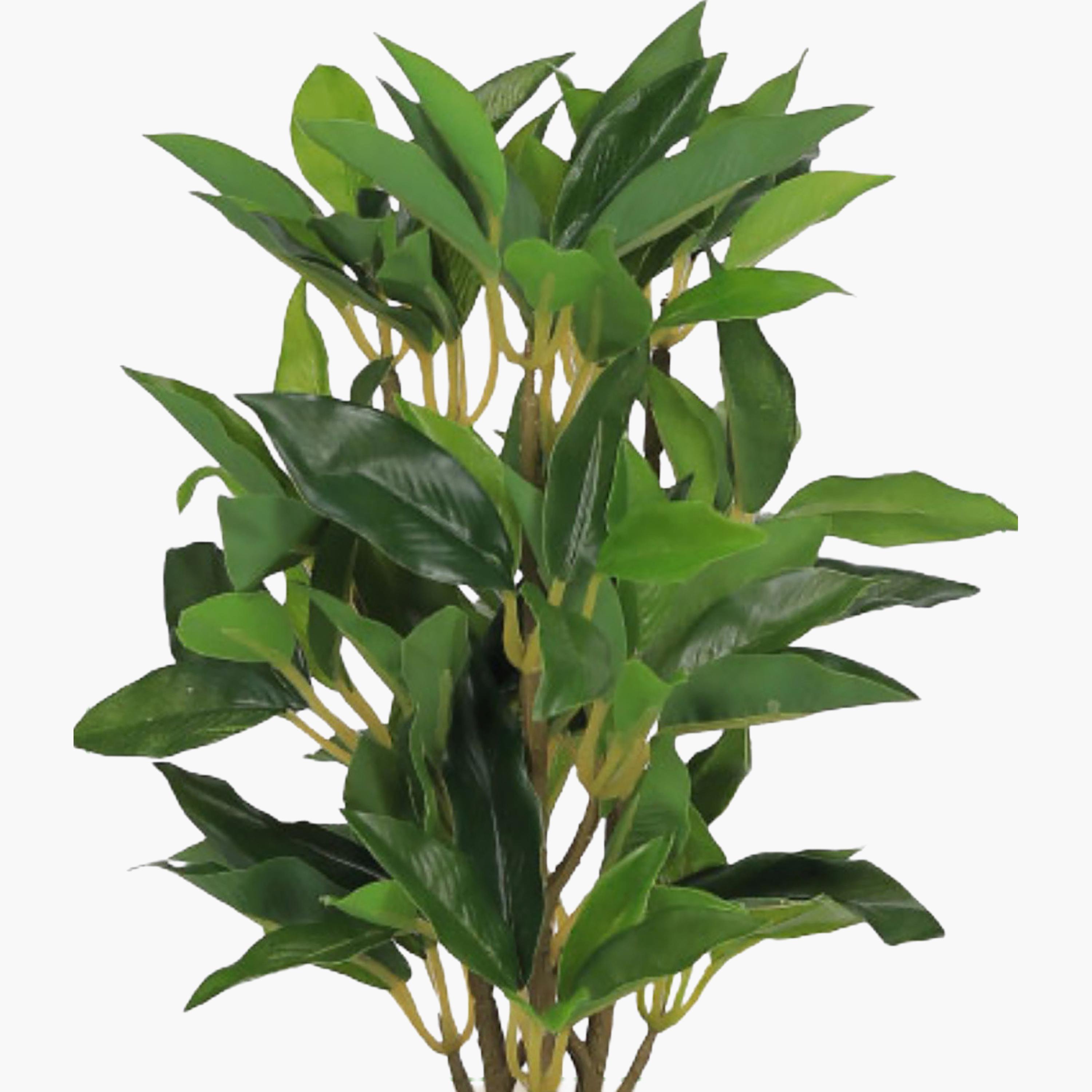 Maria Homes Multicolour Artificial Ficus Plant with Ceramic Pot-household-gardenandoutdoor-artificialflowersandplants-flowers-image-3