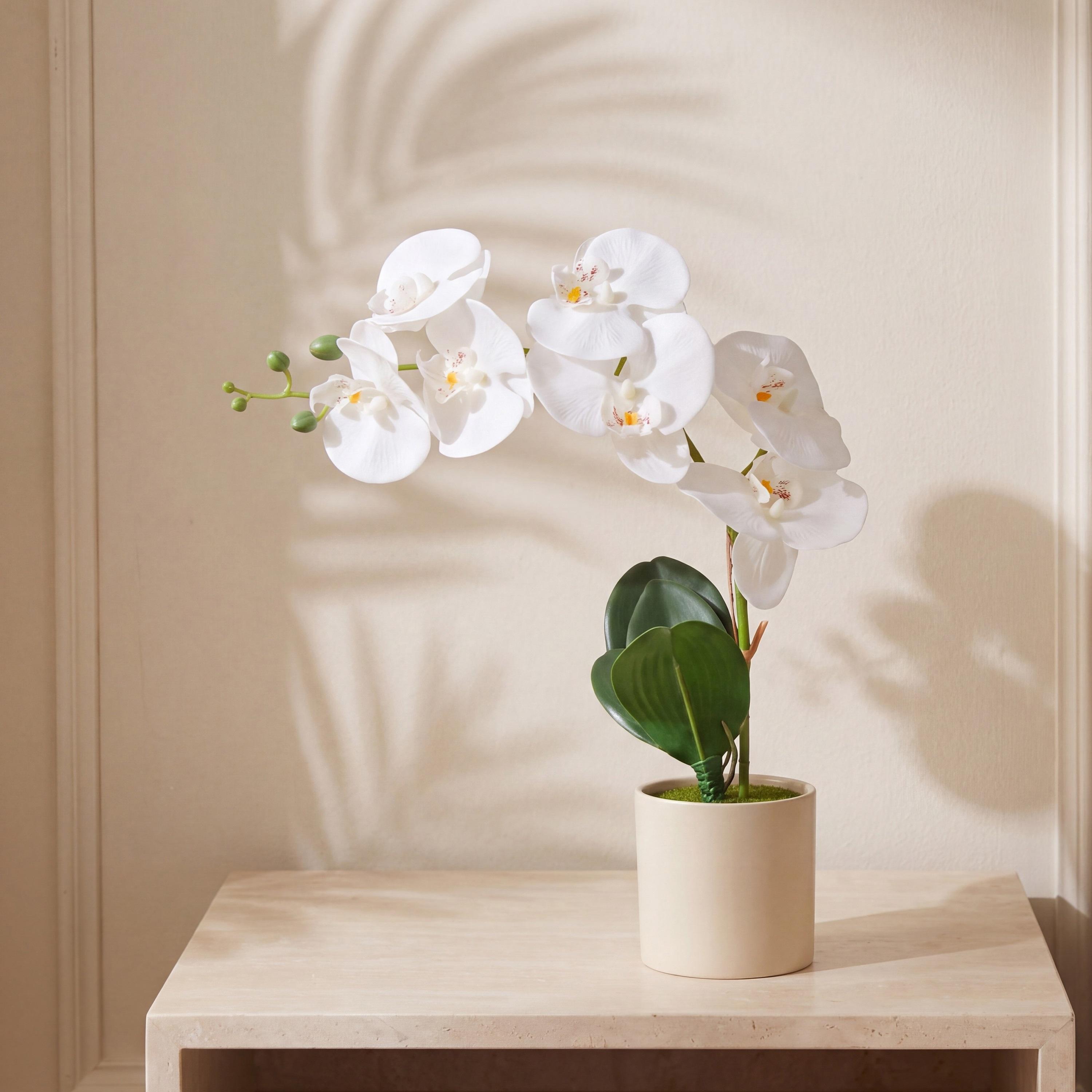 نبتة أوركيد صناعية مع إناء سيراميك من ماريا هومز-household-gardenandoutdoor-artificialflowersandplants-flowers-image-1
