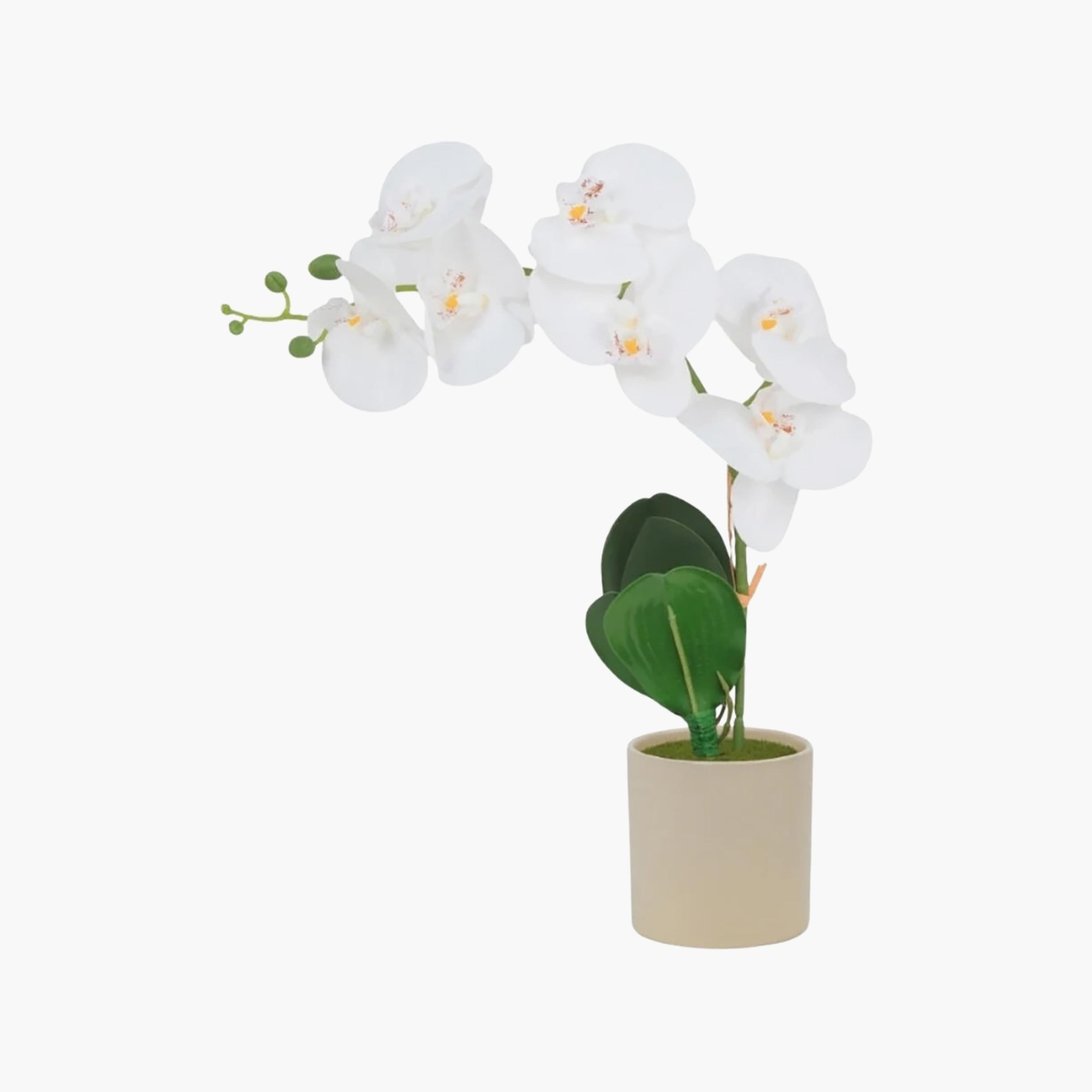 نبتة أوركيد صناعية مع إناء سيراميك من ماريا هومز-household-gardenandoutdoor-artificialflowersandplants-flowers-image-2