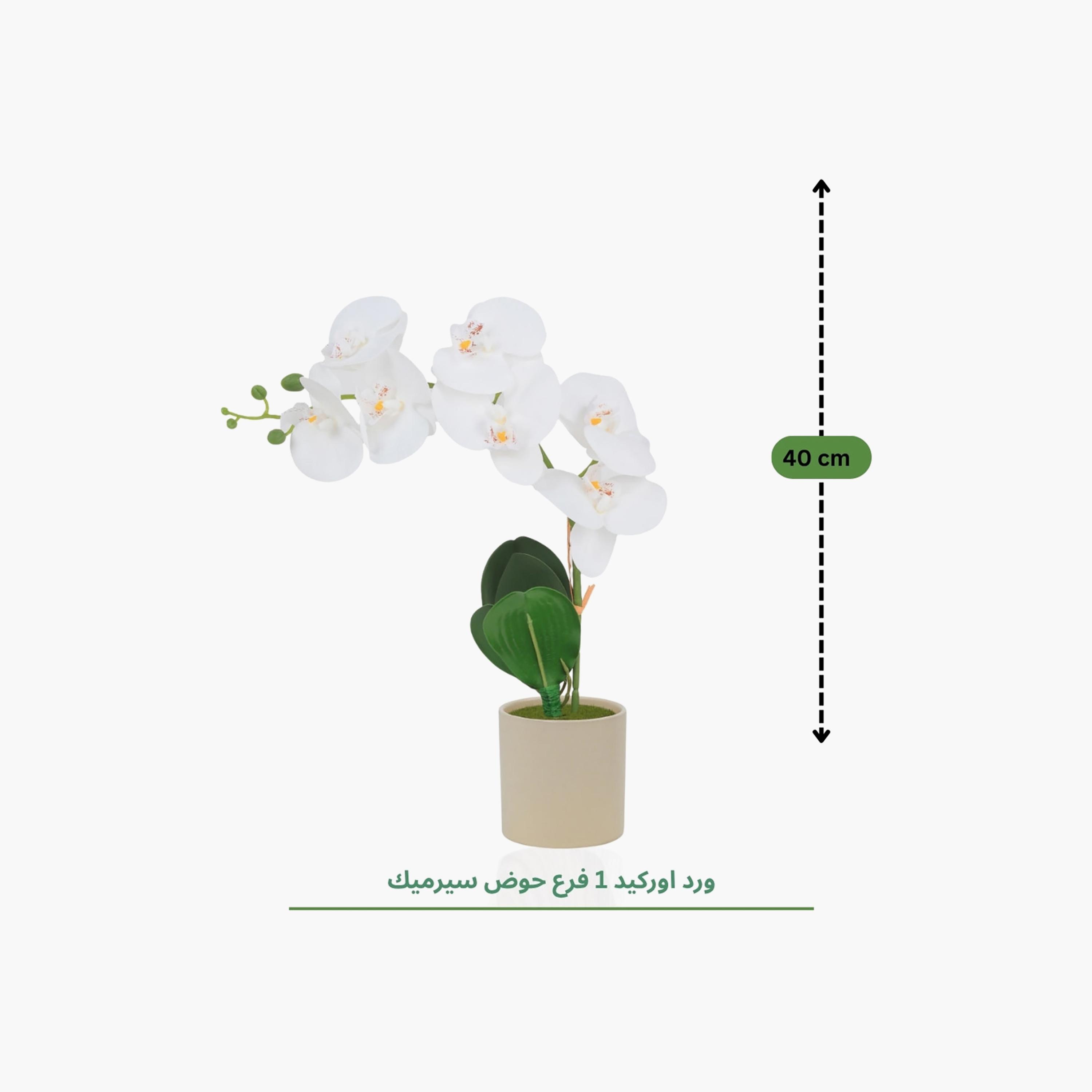 نبتة أوركيد صناعية مع إناء سيراميك من ماريا هومز-household-gardenandoutdoor-artificialflowersandplants-flowers-image-4