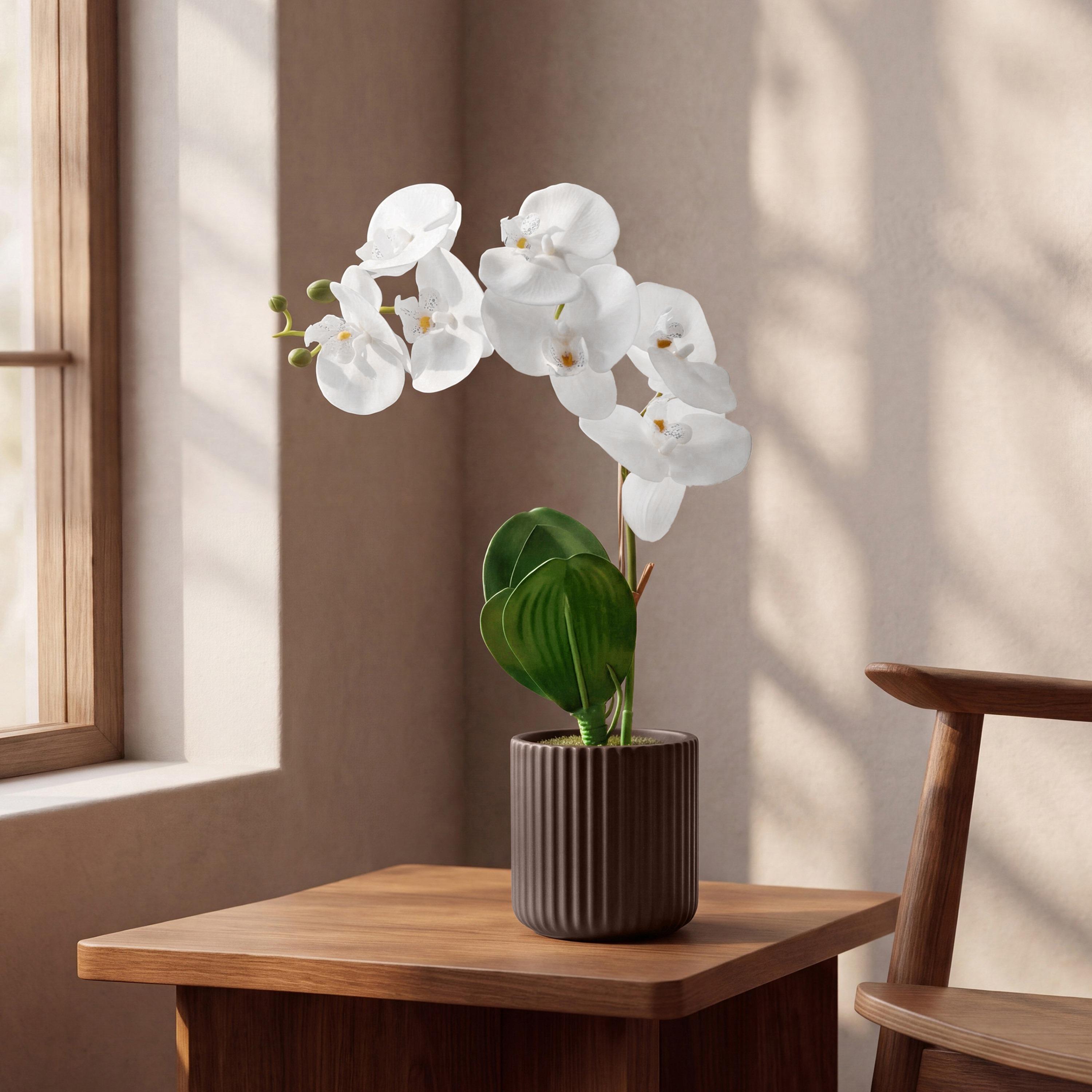 نبتة أوركيد صناعية مع إناء سيراميك من ماريا هومز-household-gardenandoutdoor-artificialflowersandplants-flowers-image-1