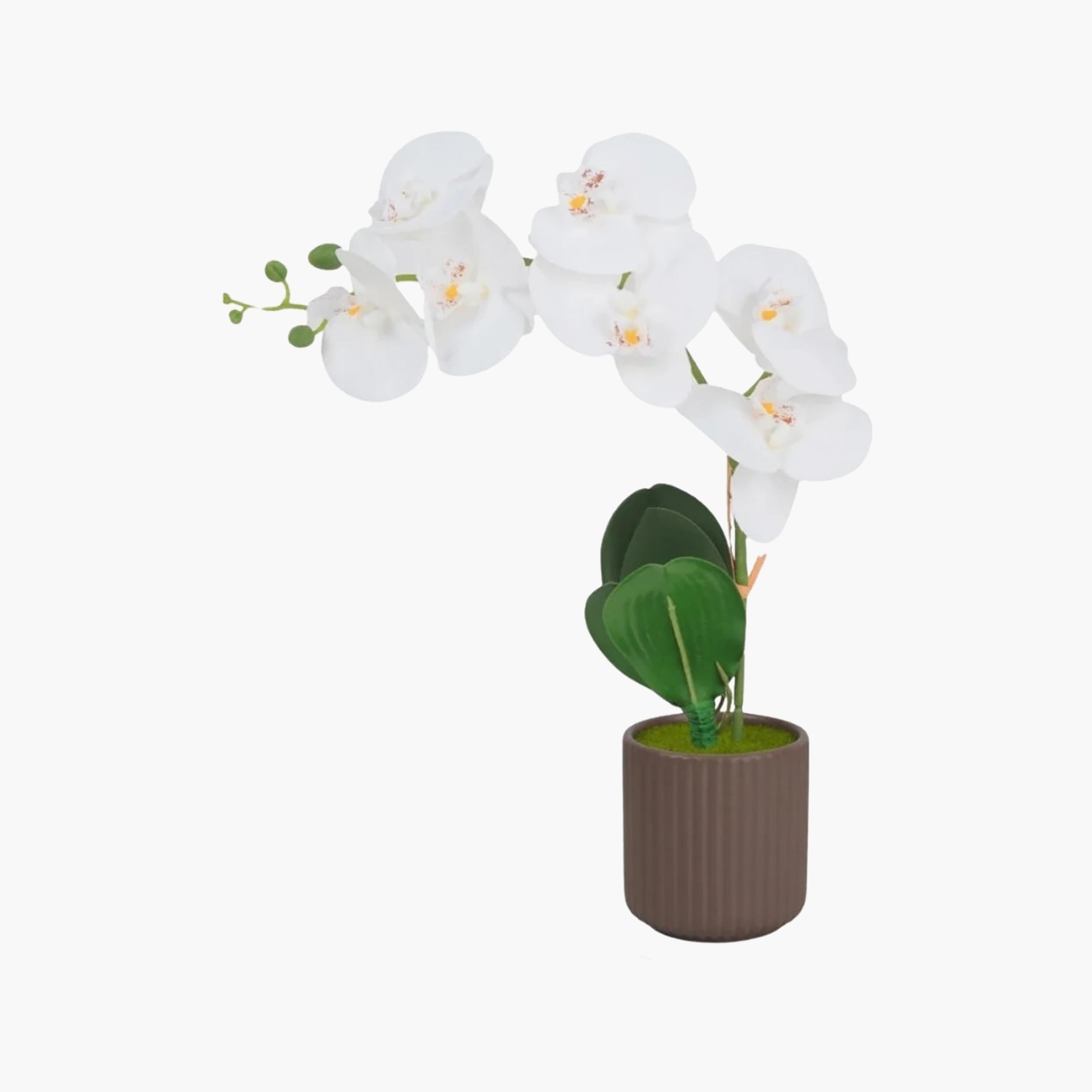 نبتة أوركيد صناعية مع إناء سيراميك من ماريا هومز-household-gardenandoutdoor-artificialflowersandplants-flowers-image-2