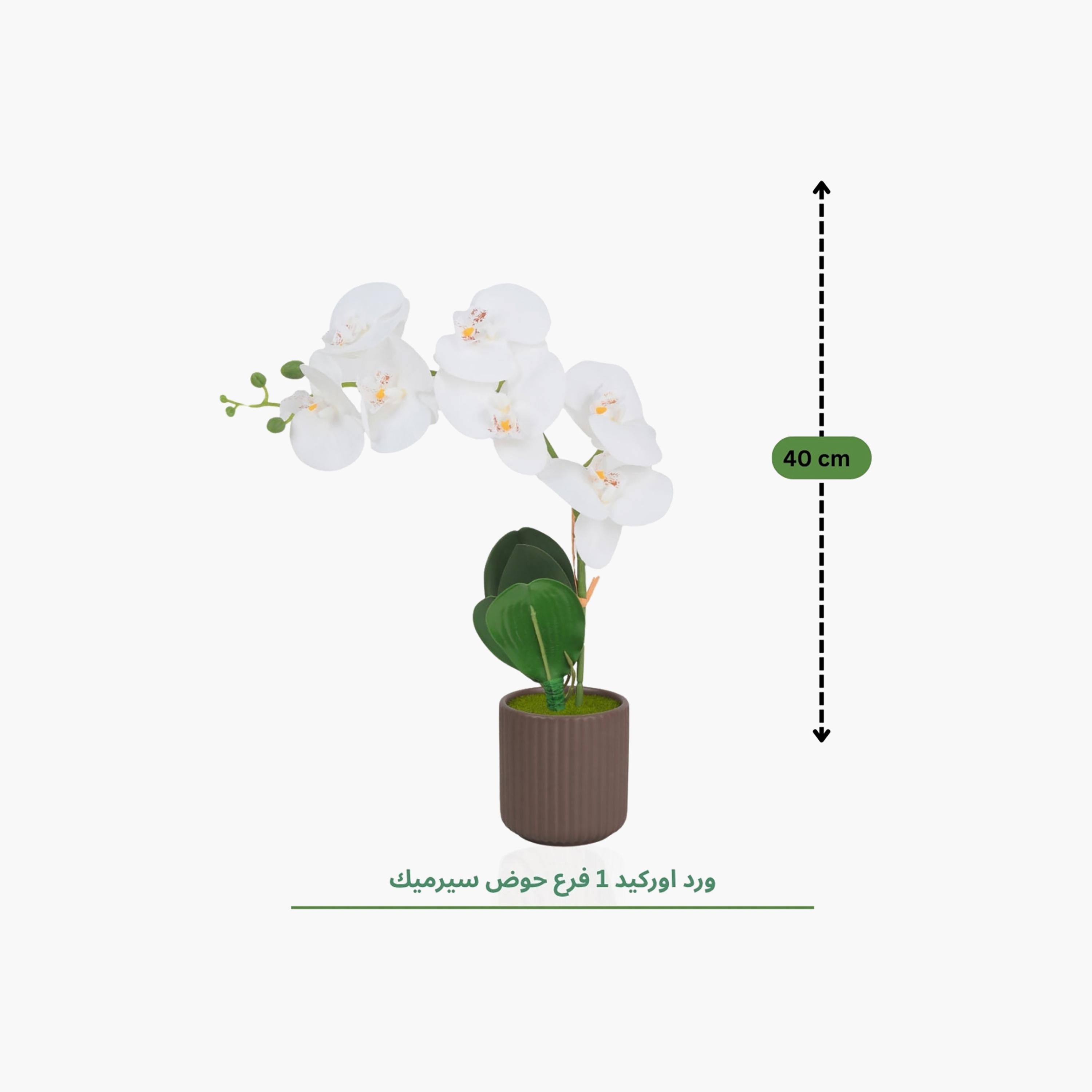 نبتة أوركيد صناعية مع إناء سيراميك من ماريا هومز-household-gardenandoutdoor-artificialflowersandplants-flowers-image-4