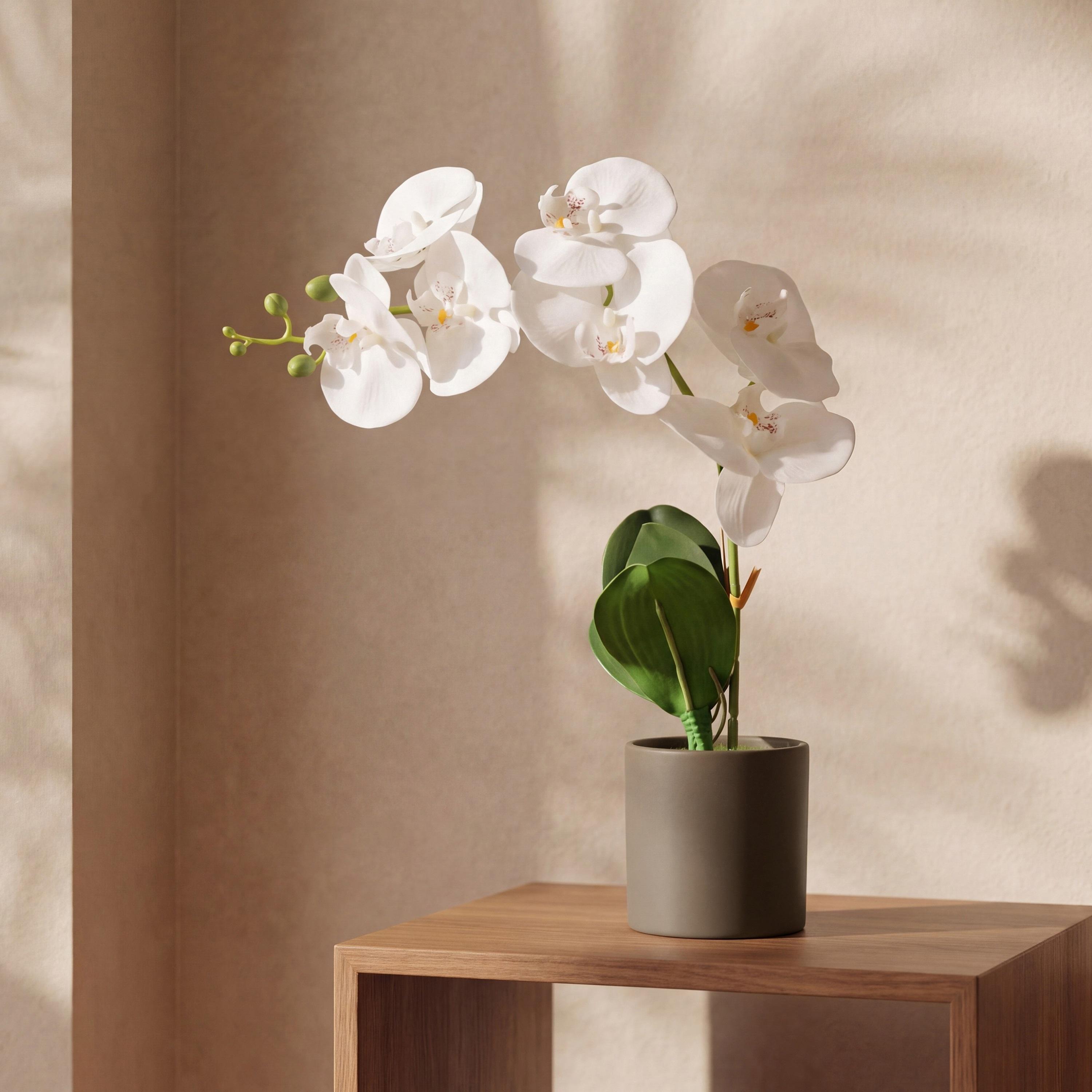 نبتة أوركيد صناعية مع إناء سيراميك من ماريا هومز-household-gardenandoutdoor-artificialflowersandplants-flowers-image-1