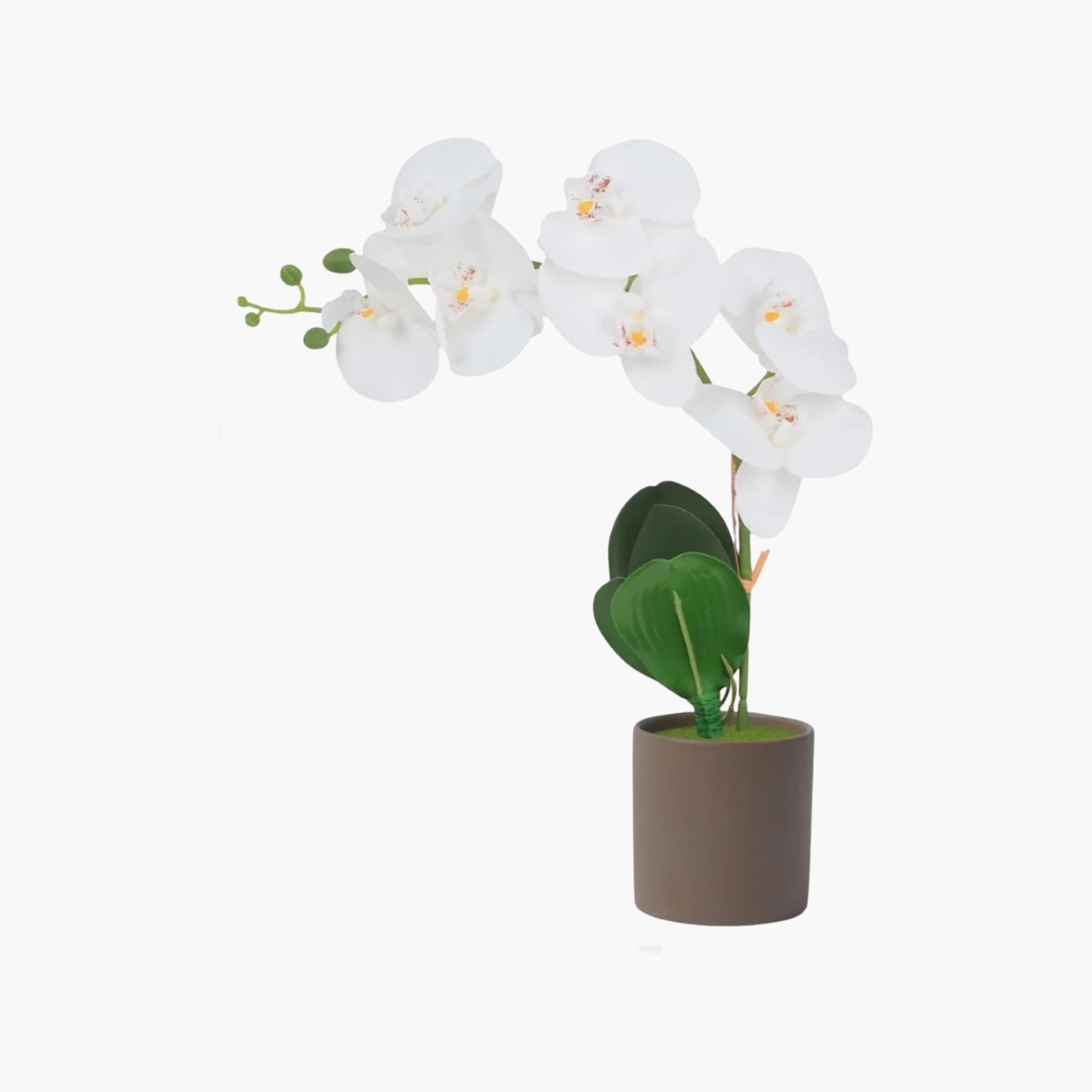 نبتة أوركيد صناعية مع إناء سيراميك من ماريا هومز-household-gardenandoutdoor-artificialflowersandplants-flowers-image-2