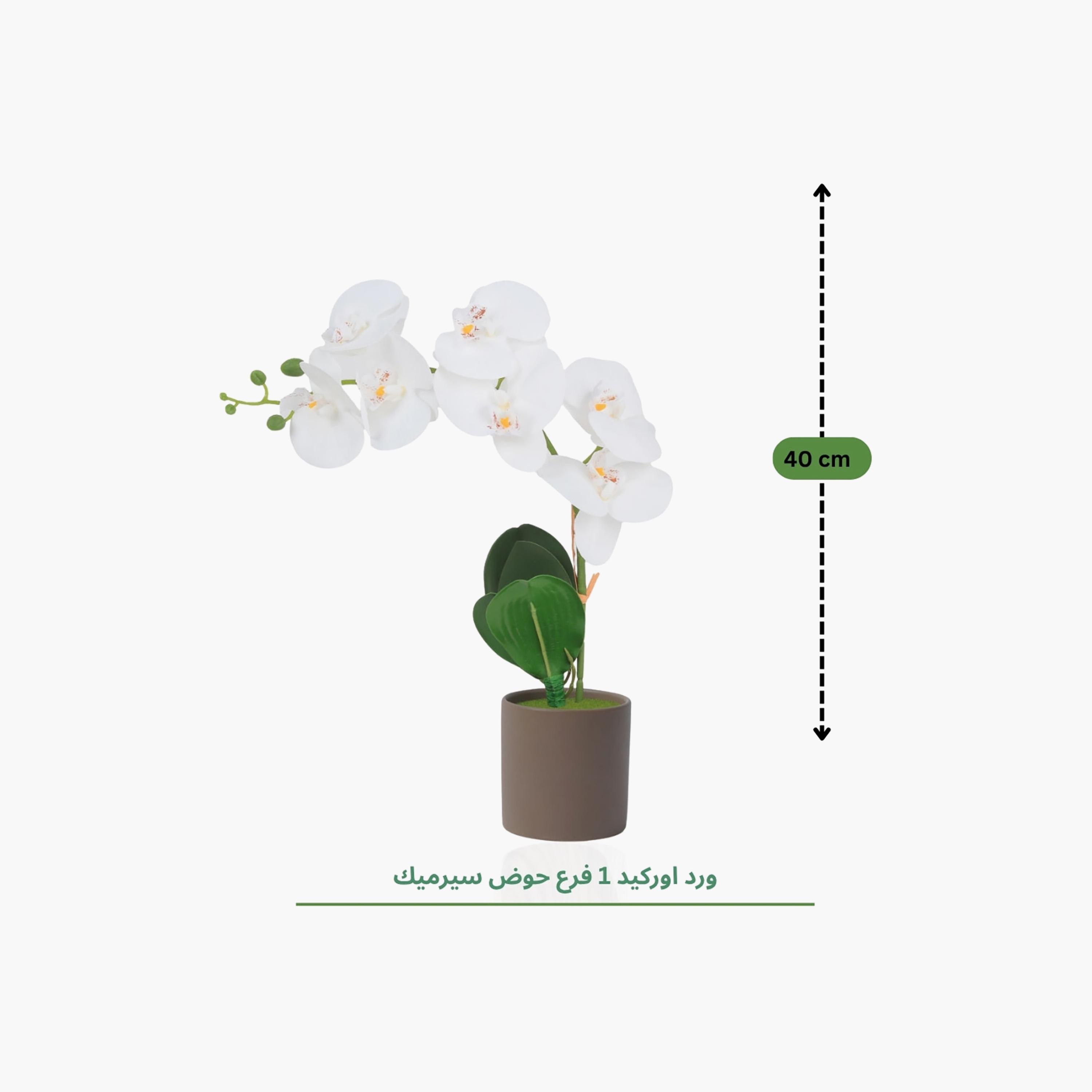 نبتة أوركيد صناعية مع إناء سيراميك من ماريا هومز-household-gardenandoutdoor-artificialflowersandplants-flowers-image-4