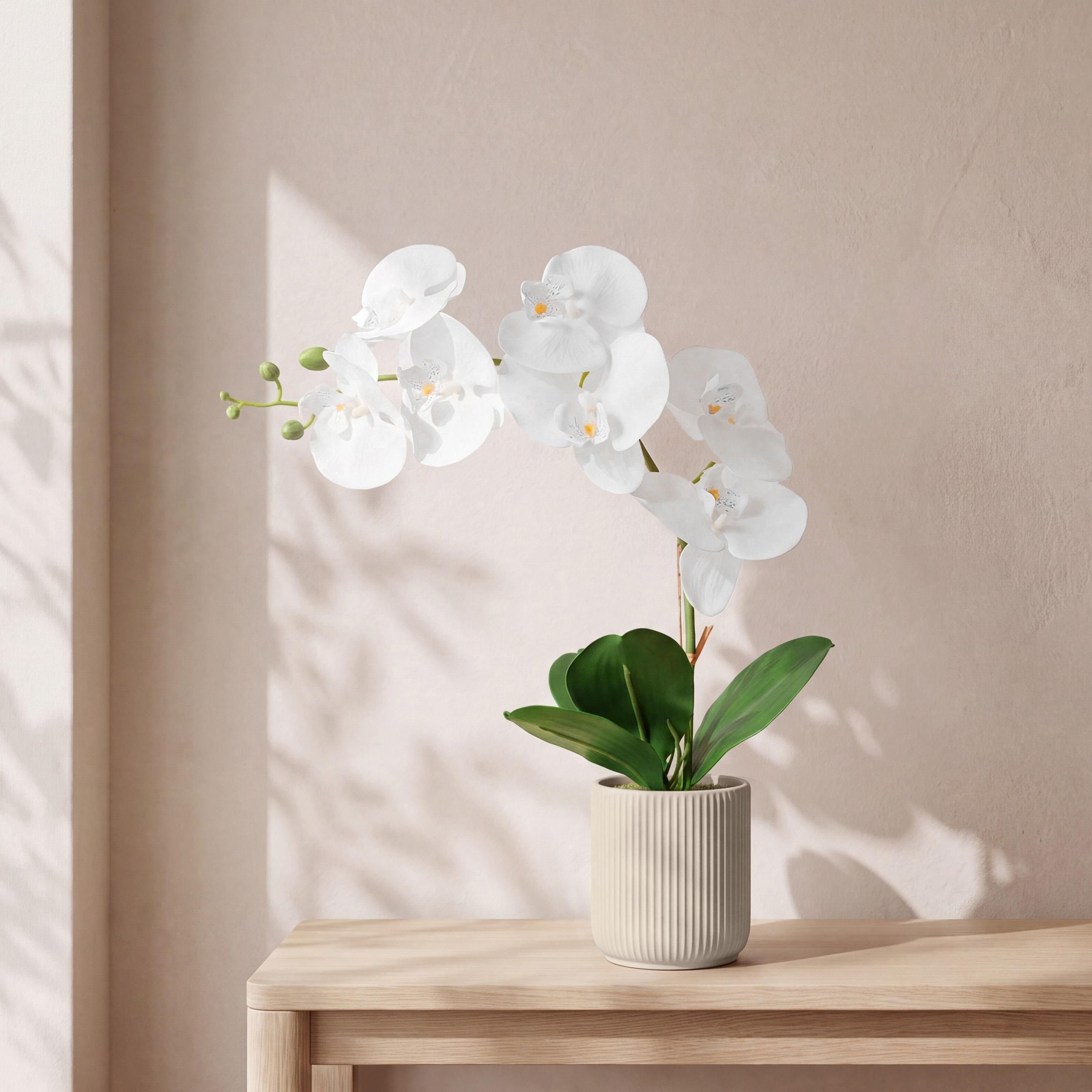 نبتة أوركيد صناعية مع إناء سيراميك من ماريا هومز-household-gardenandoutdoor-artificialflowersandplants-flowers-image-1