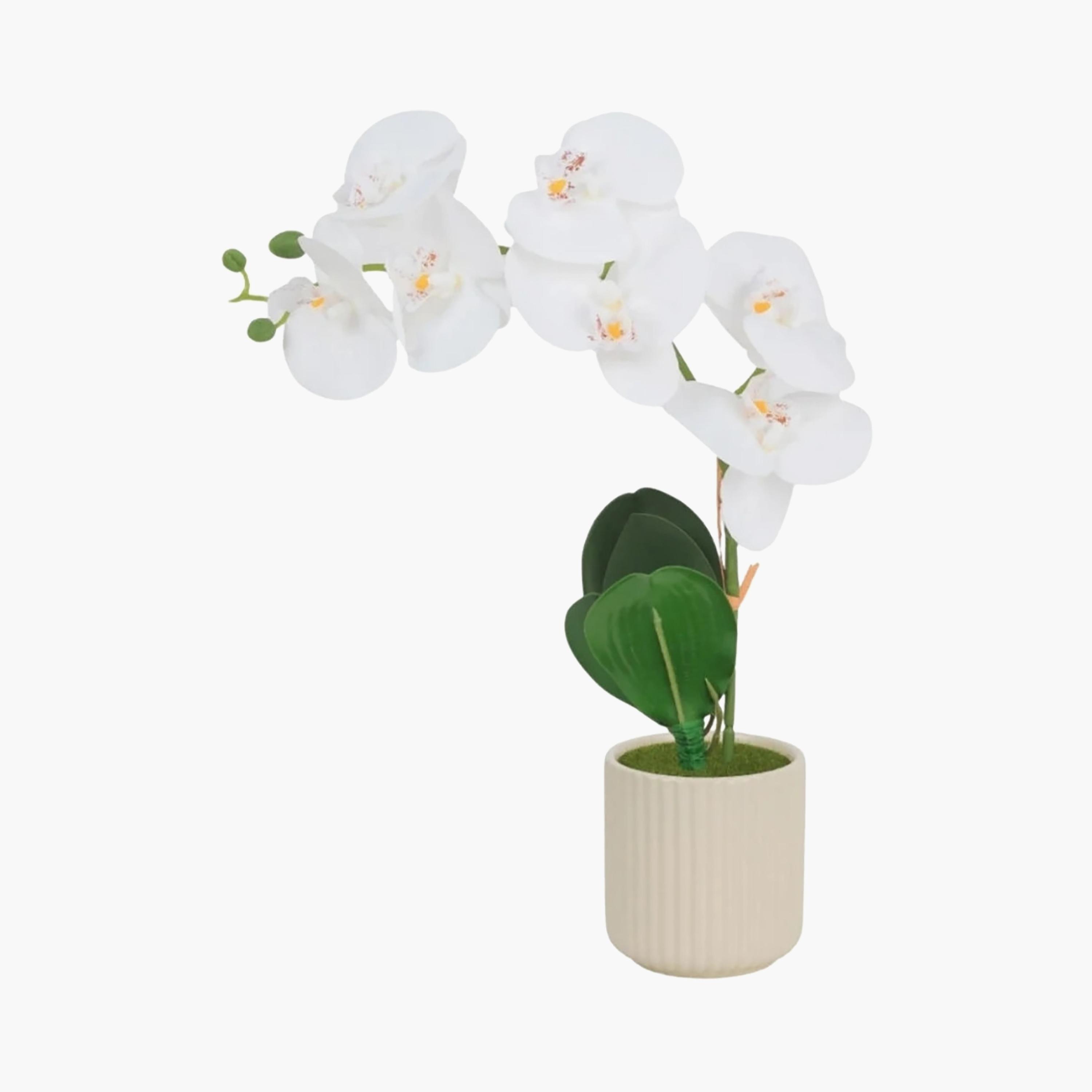 نبتة أوركيد صناعية مع إناء سيراميك من ماريا هومز-household-gardenandoutdoor-artificialflowersandplants-flowers-image-2