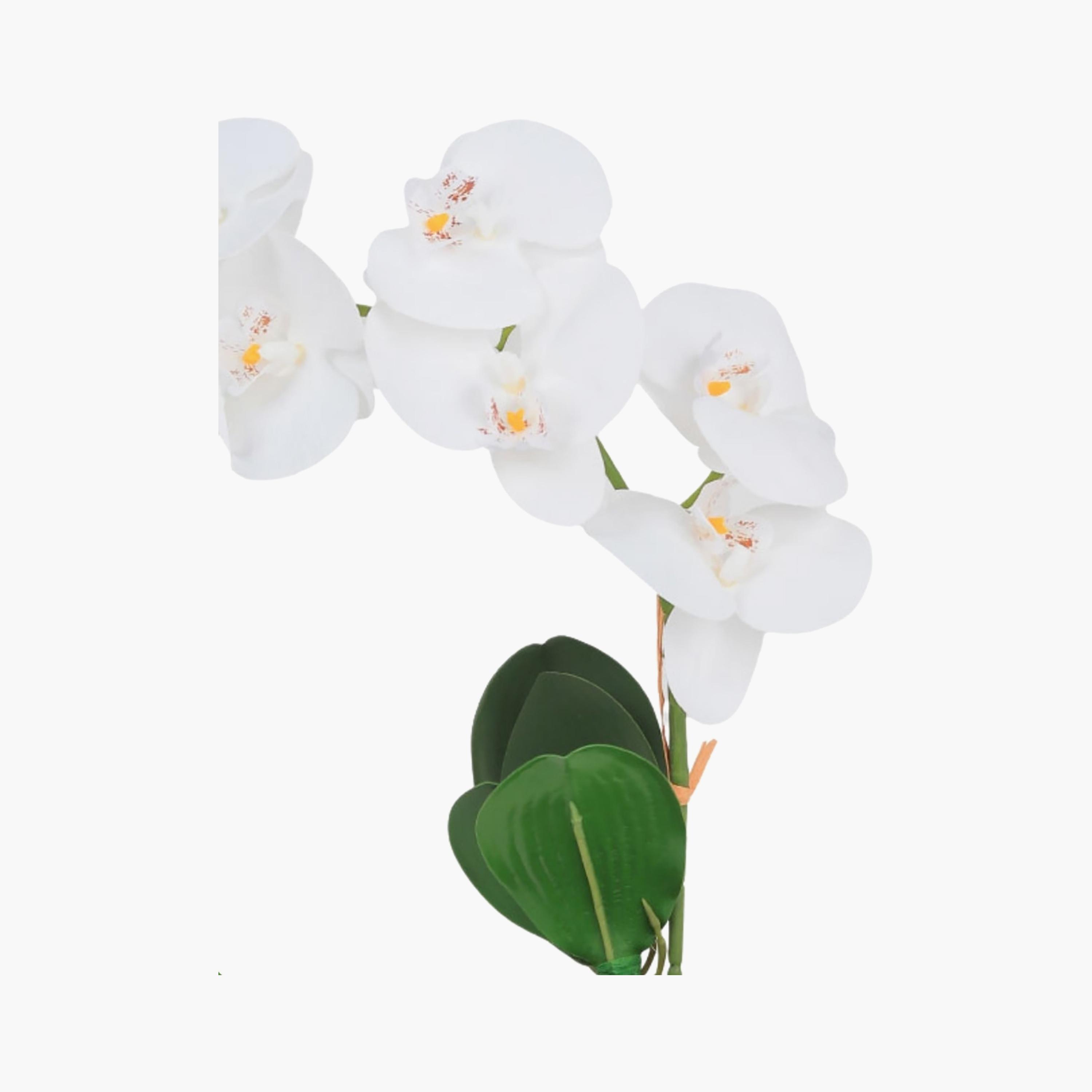 نبتة أوركيد صناعية مع إناء سيراميك من ماريا هومز-household-gardenandoutdoor-artificialflowersandplants-flowers-image-3