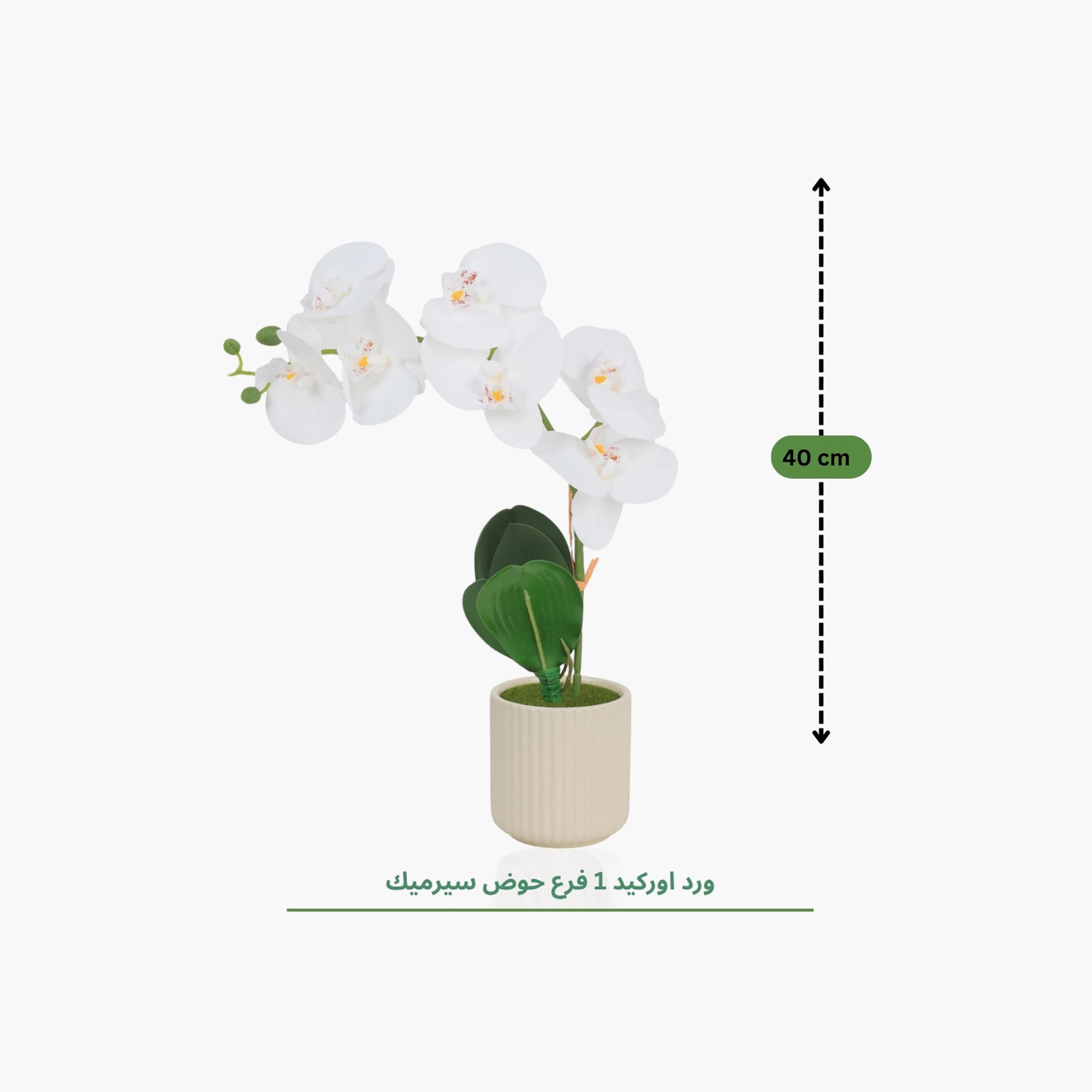 نبتة أوركيد صناعية مع إناء سيراميك من ماريا هومز-household-gardenandoutdoor-artificialflowersandplants-flowers-image-4