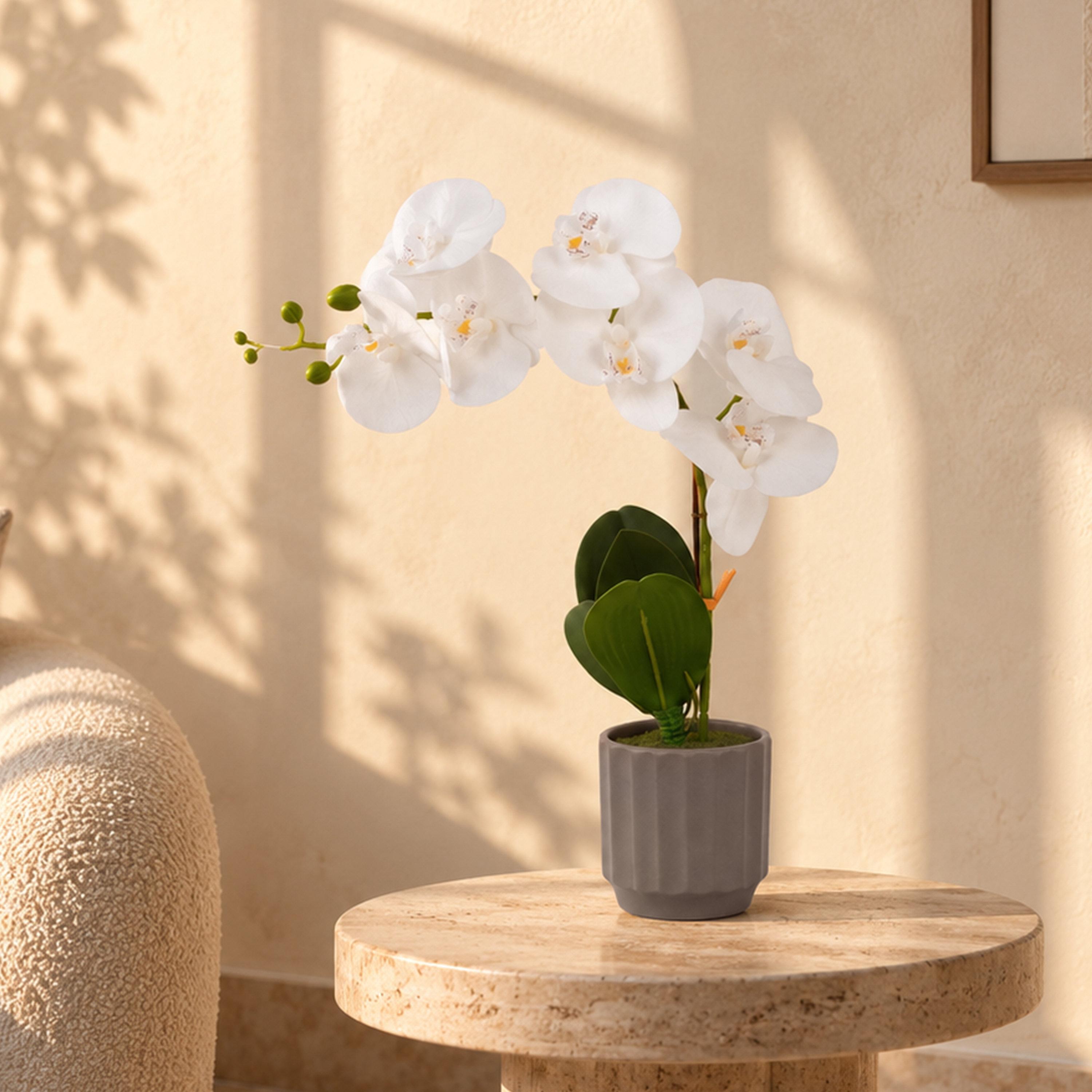 نبتة أوركيد صناعية مع إناء سيراميك من ماريا هومز-household-gardenandoutdoor-artificialflowersandplants-flowers-image-1