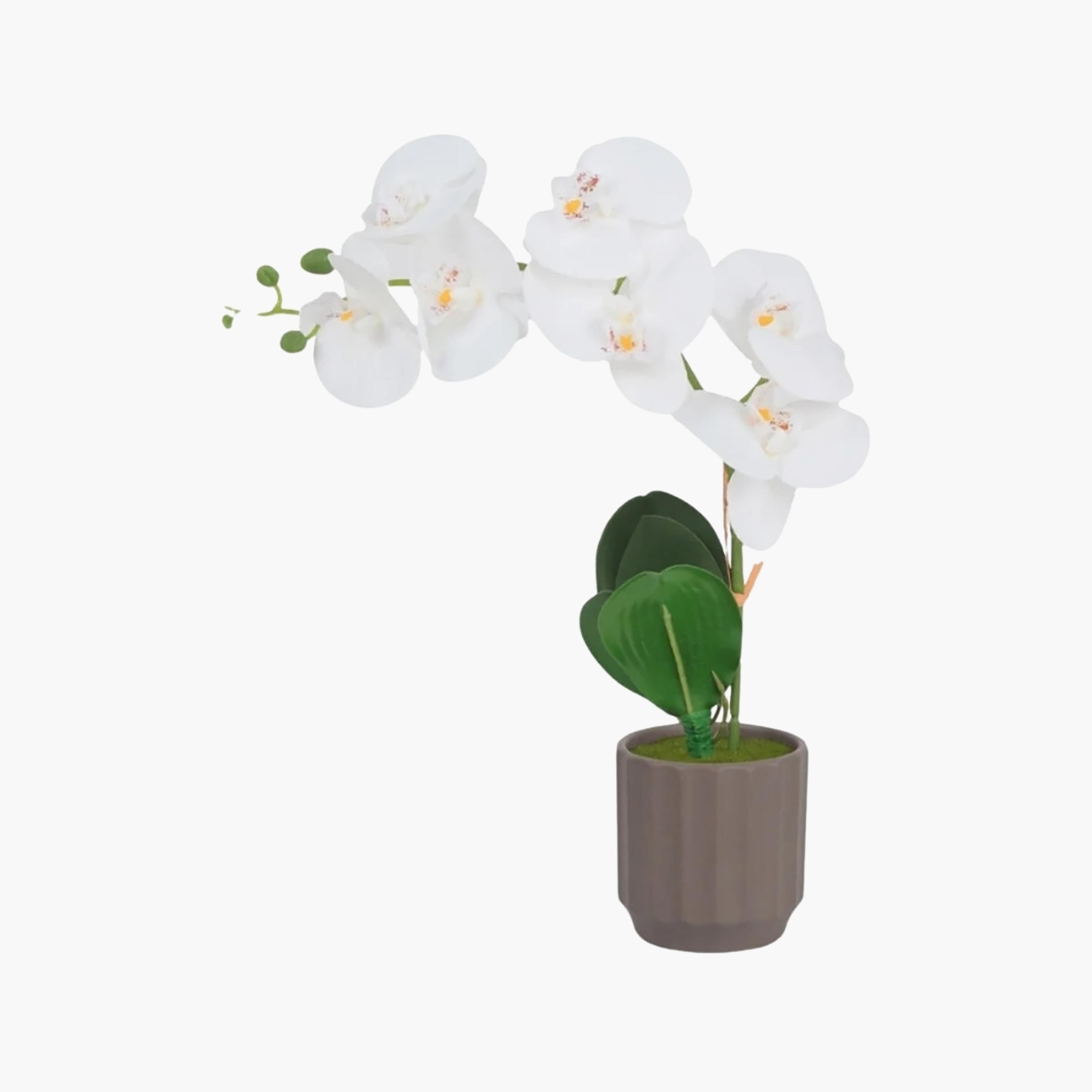 نبتة أوركيد صناعية مع إناء سيراميك من ماريا هومز-household-gardenandoutdoor-artificialflowersandplants-flowers-image-2