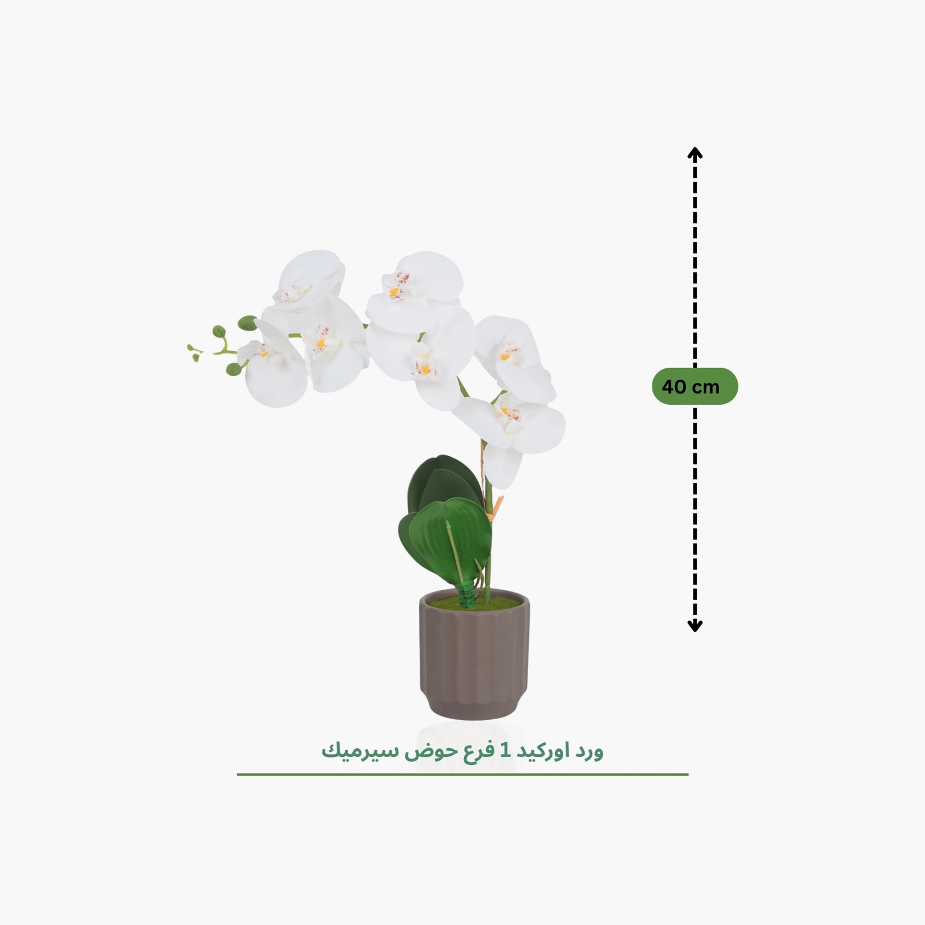نبتة أوركيد صناعية مع إناء سيراميك من ماريا هومز-household-gardenandoutdoor-artificialflowersandplants-flowers-image-4