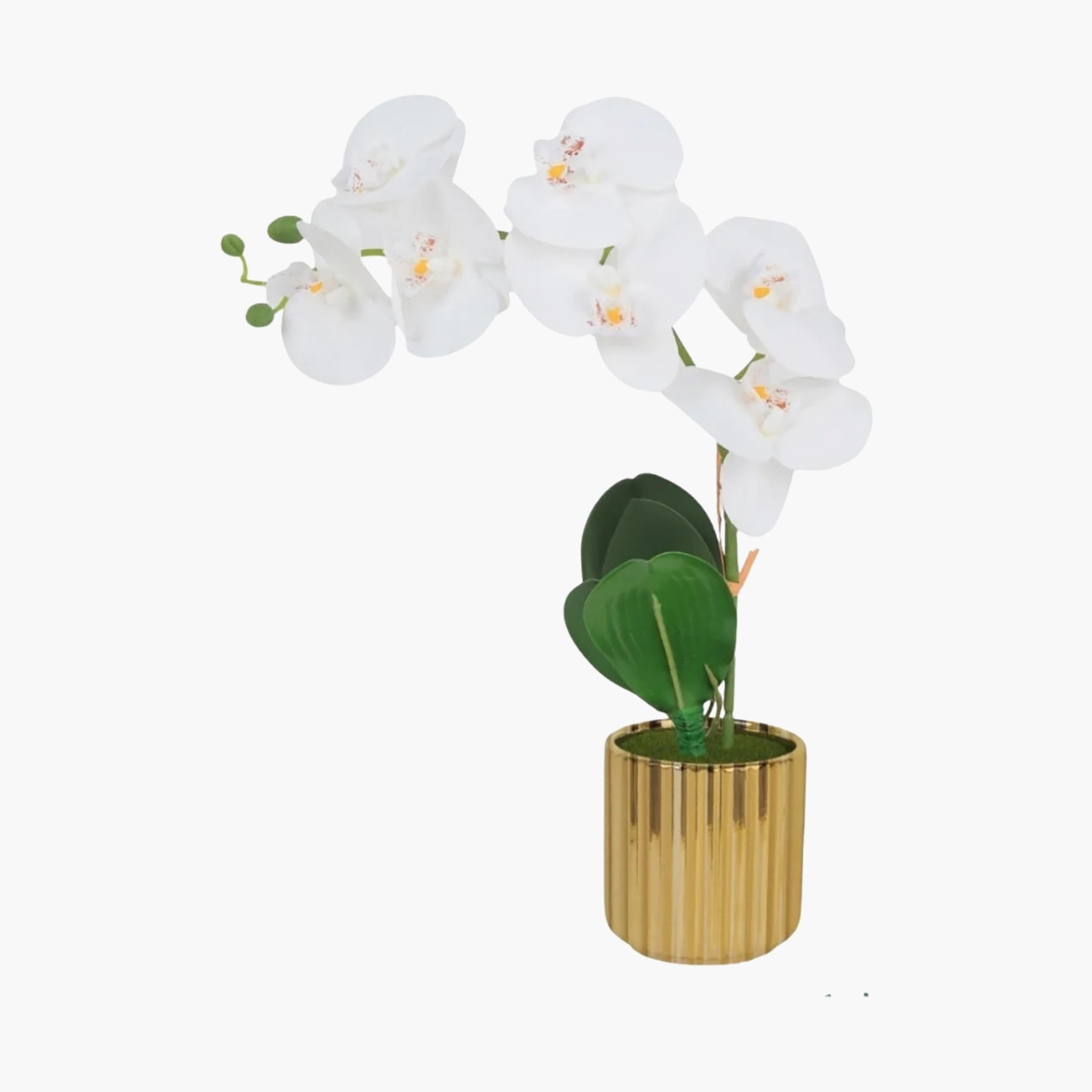 نبتة أوركيد صناعية ذهبية مع إناء سيراميك من ماريا هومز-household-gardenandoutdoor-artificialflowersandplants-flowers-image-2