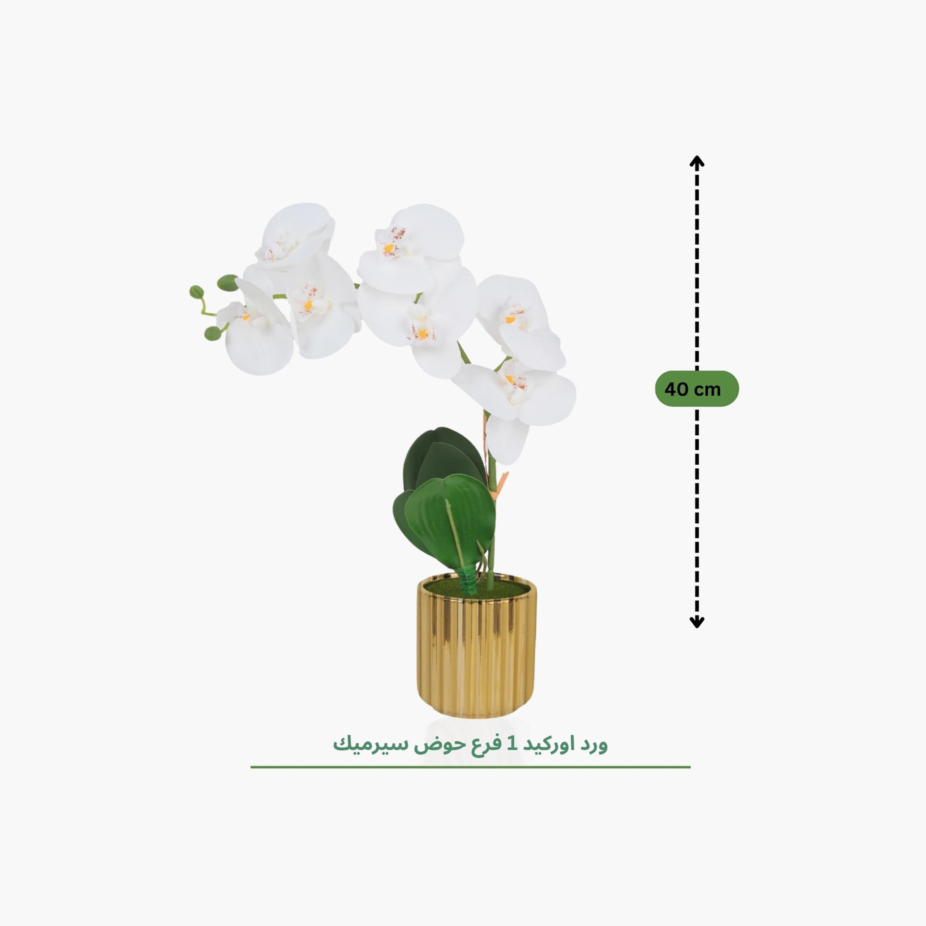 نبتة أوركيد صناعية ذهبية مع إناء سيراميك من ماريا هومز-household-gardenandoutdoor-artificialflowersandplants-flowers-image-4