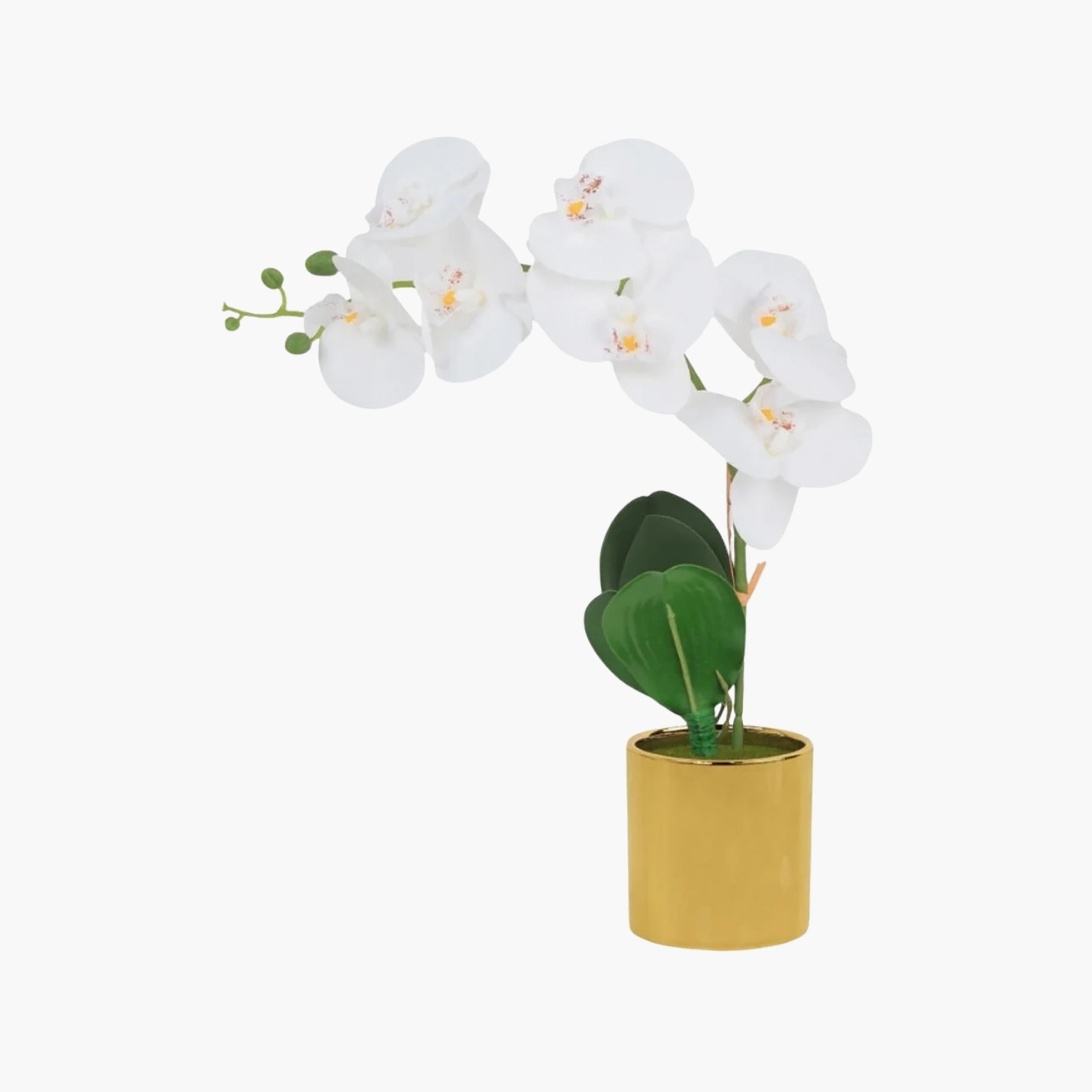 نبتة أوركيد صناعية مع إناء سيراميك من ماريا هومز-household-gardenandoutdoor-artificialflowersandplants-flowers-image-2