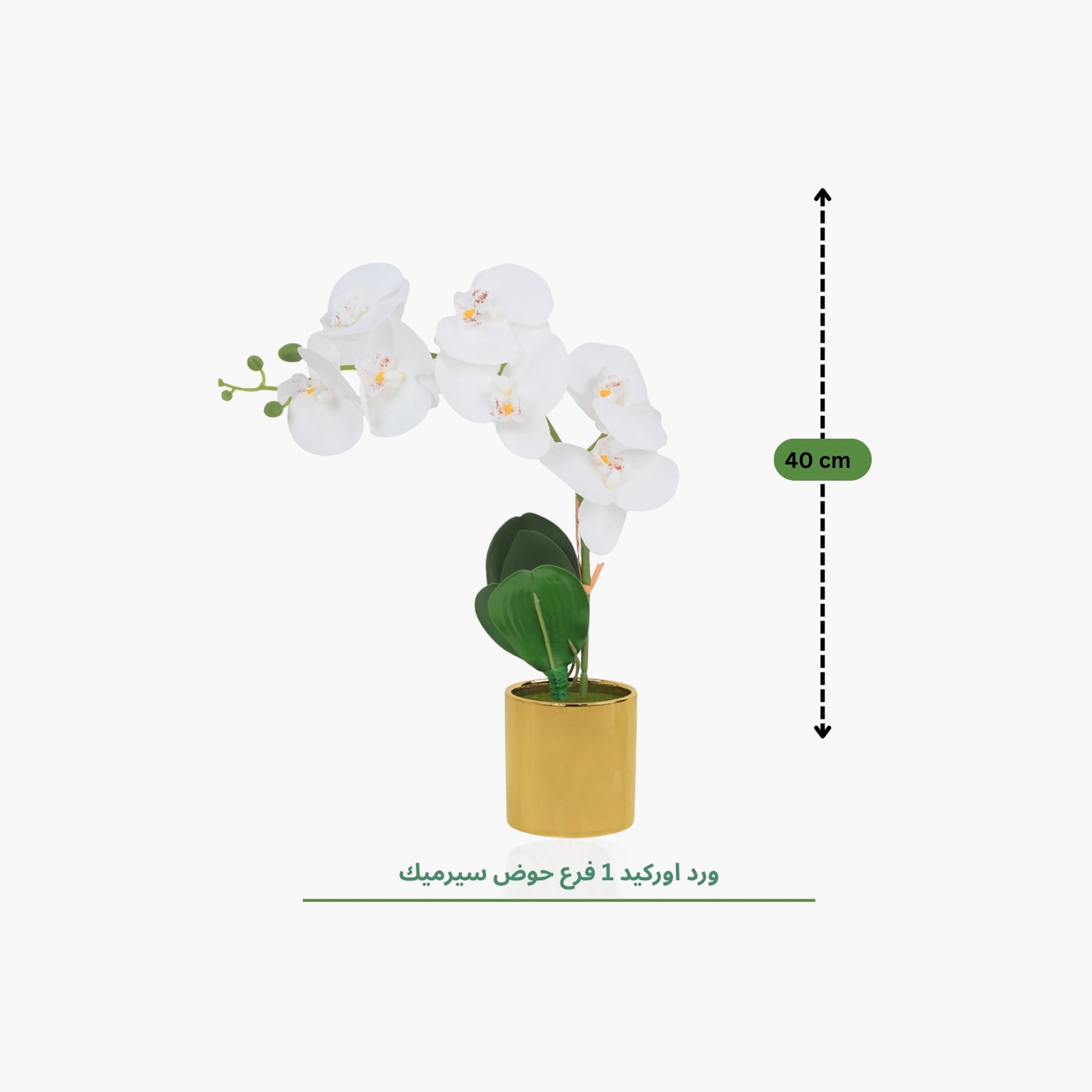 نبتة أوركيد صناعية مع إناء سيراميك من ماريا هومز-household-gardenandoutdoor-artificialflowersandplants-flowers-image-4