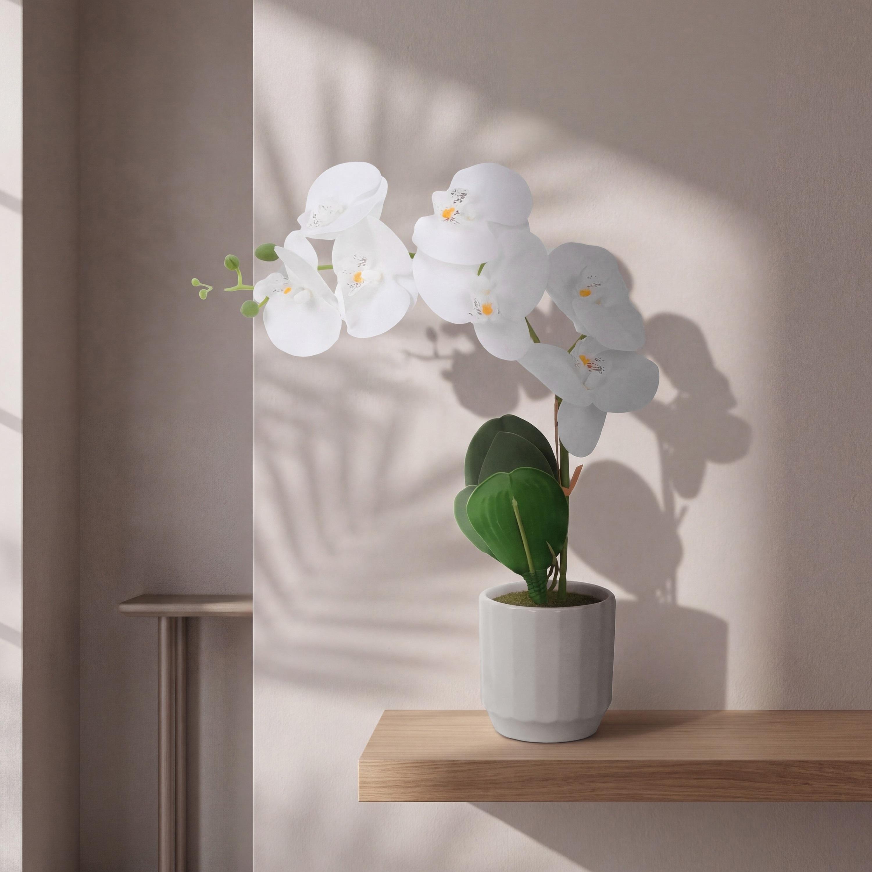 نبتة أوركيد صناعية مع إناء سيراميك من ماريا هومز-household-gardenandoutdoor-artificialflowersandplants-flowers-image-1