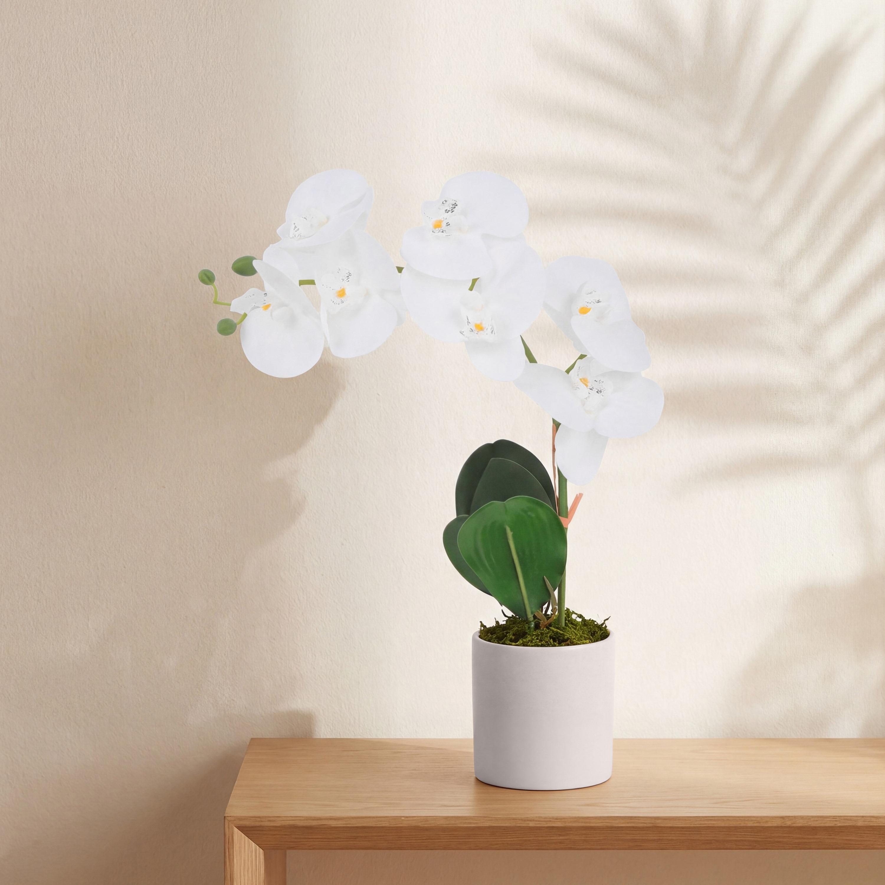نبتة أوركيد صناعية مع إناء سيراميك من ماريا هومز-household-gardenandoutdoor-artificialflowersandplants-flowers-image-1