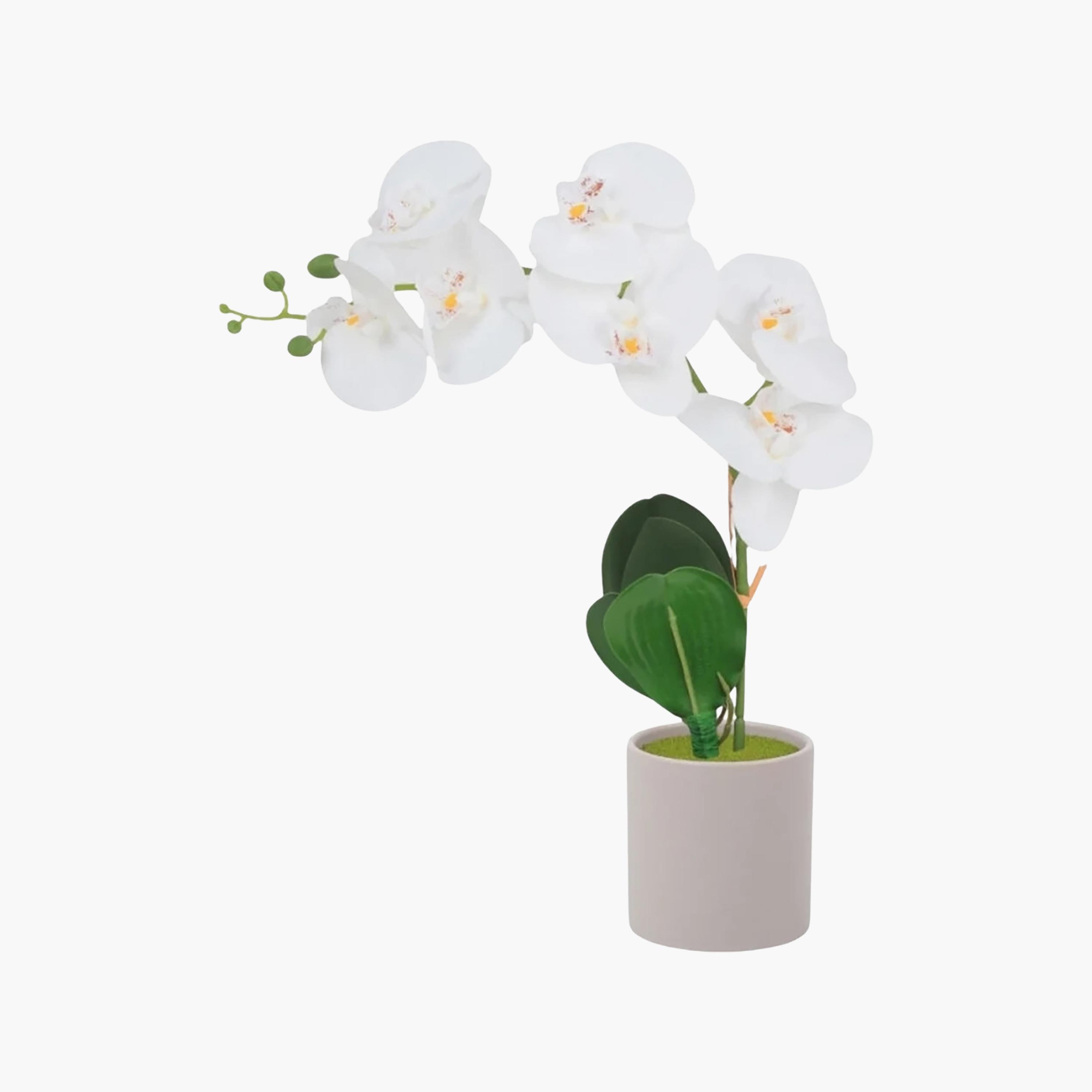 نبتة أوركيد صناعية مع إناء سيراميك من ماريا هومز-household-gardenandoutdoor-artificialflowersandplants-flowers-image-2