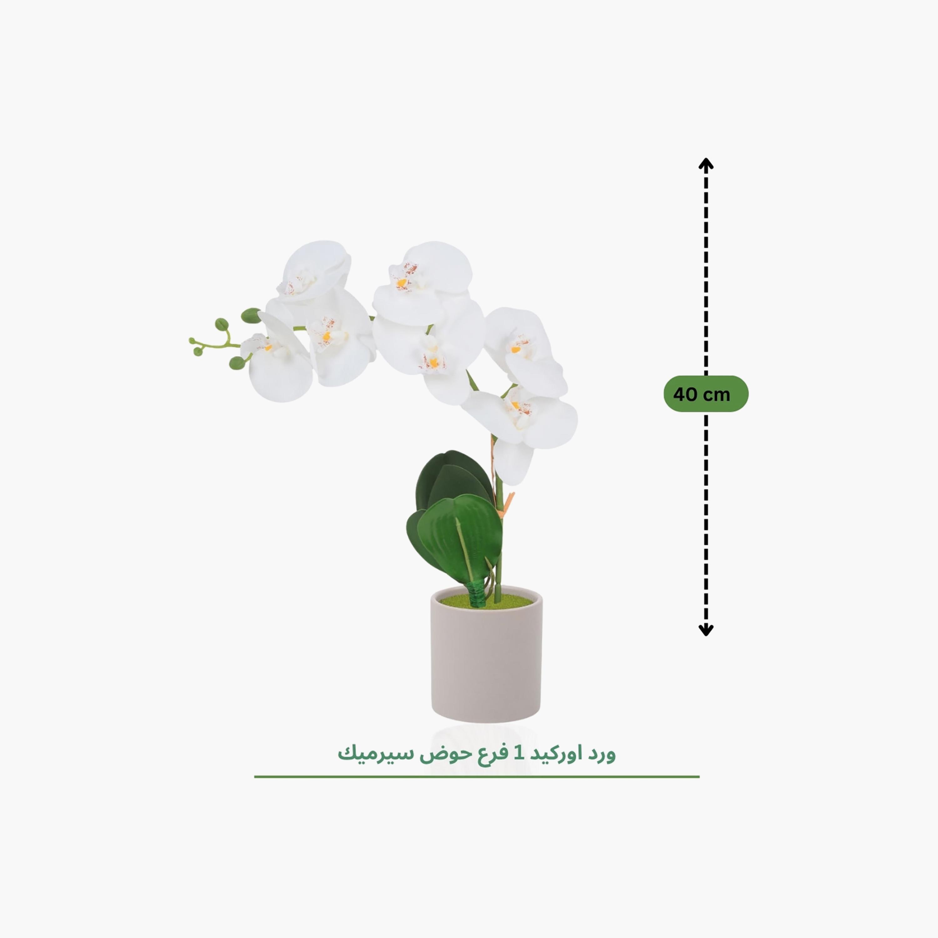 نبتة أوركيد صناعية مع إناء سيراميك من ماريا هومز-household-gardenandoutdoor-artificialflowersandplants-flowers-image-4