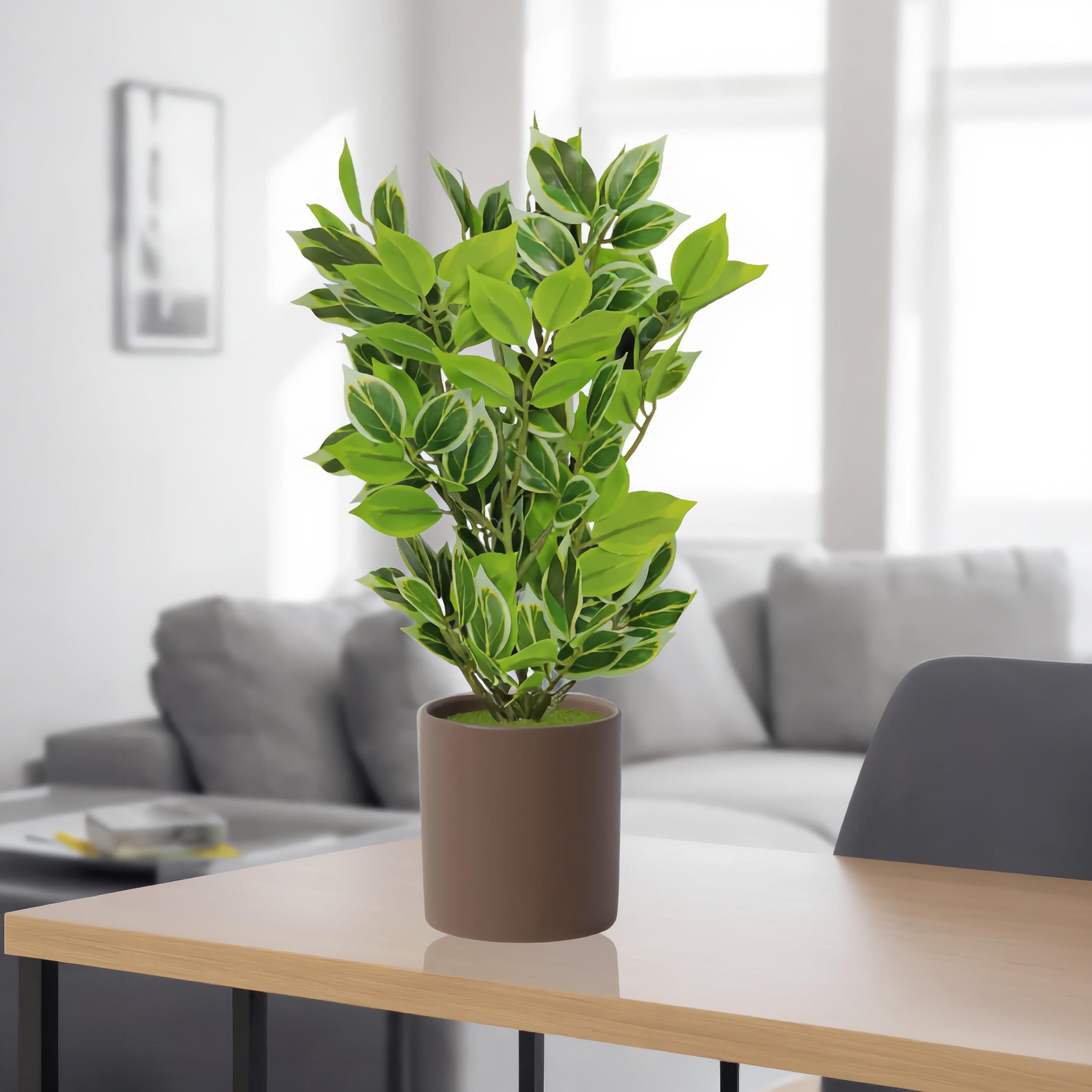 Maria Homes Artificial Variegated Leaf Plant with Ceramic Pot-household-gardenandoutdoor-artificialflowersandplants-flowers-image-1