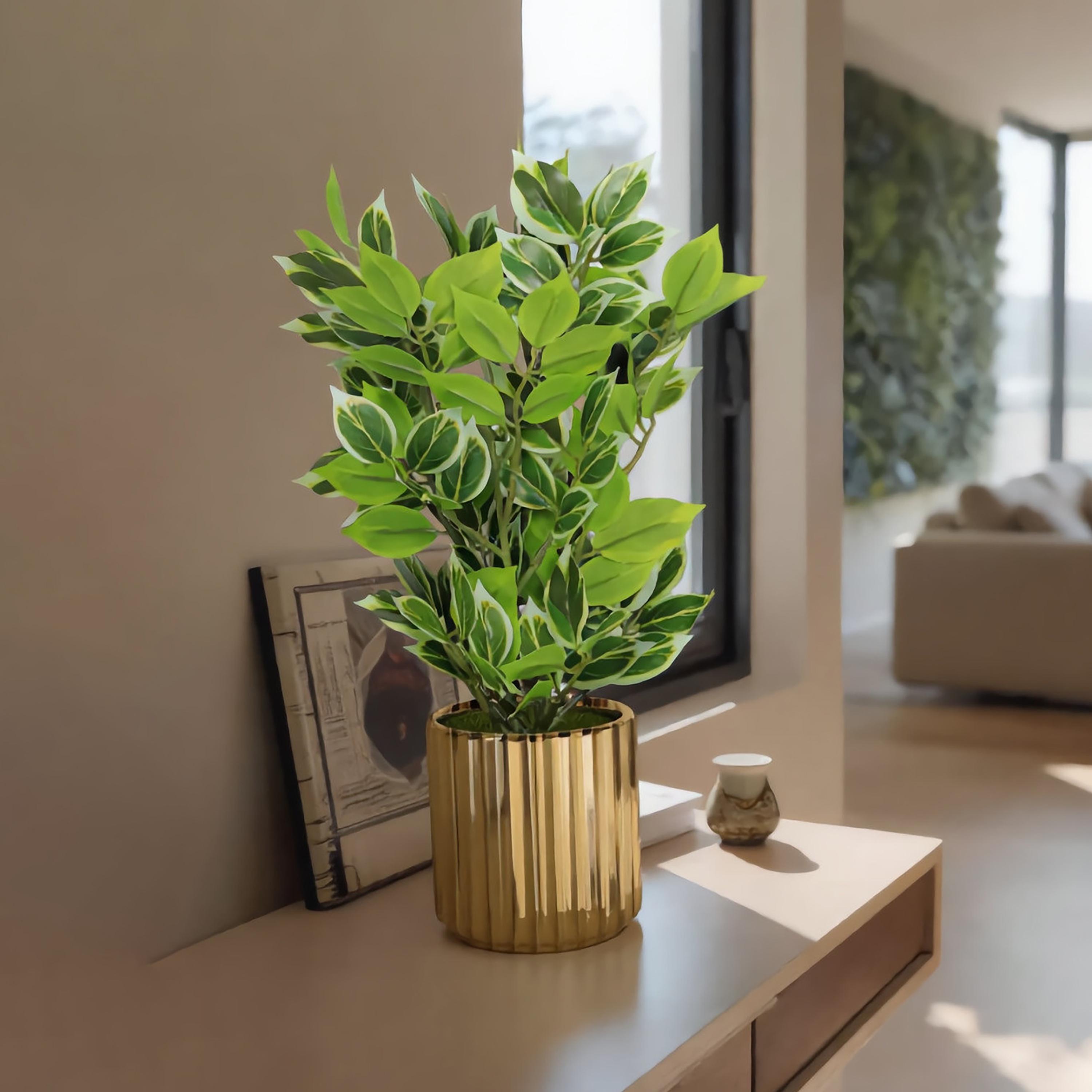 Maria Homes Gold Artificial Variegated Leaf Plant with Ceramic Pot-household-gardenandoutdoor-artificialflowersandplants-flowers-image-1