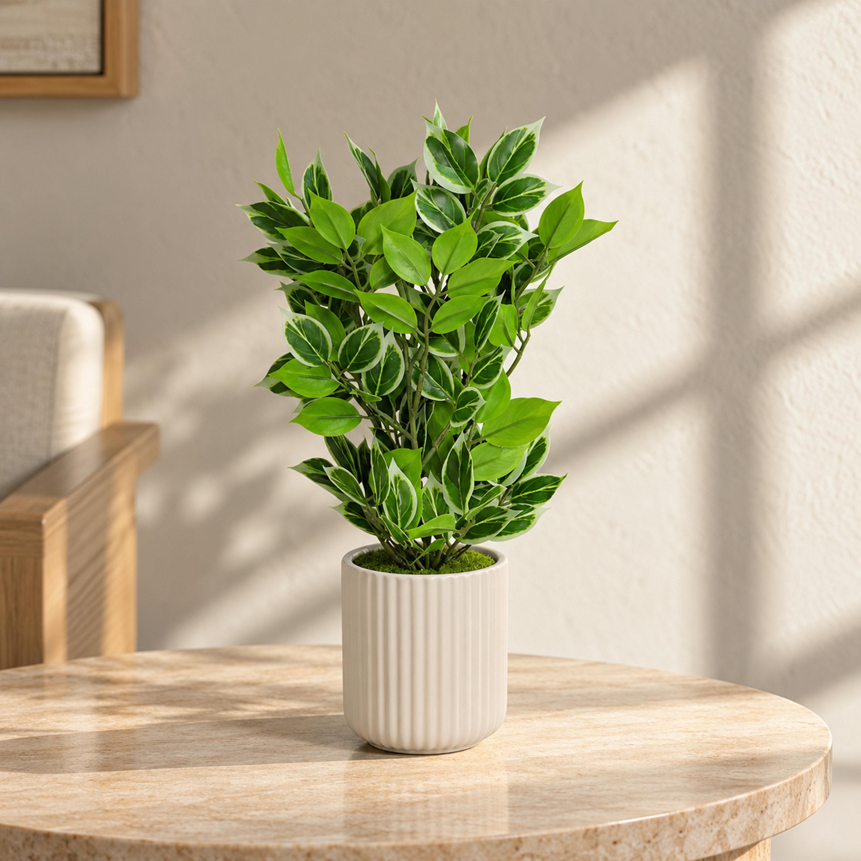 نبتة صناعية بأوراق متعددة الألوان مع إناء سيراميك من ماريا هومز-household-gardenandoutdoor-artificialflowersandplants-flowers-image-1