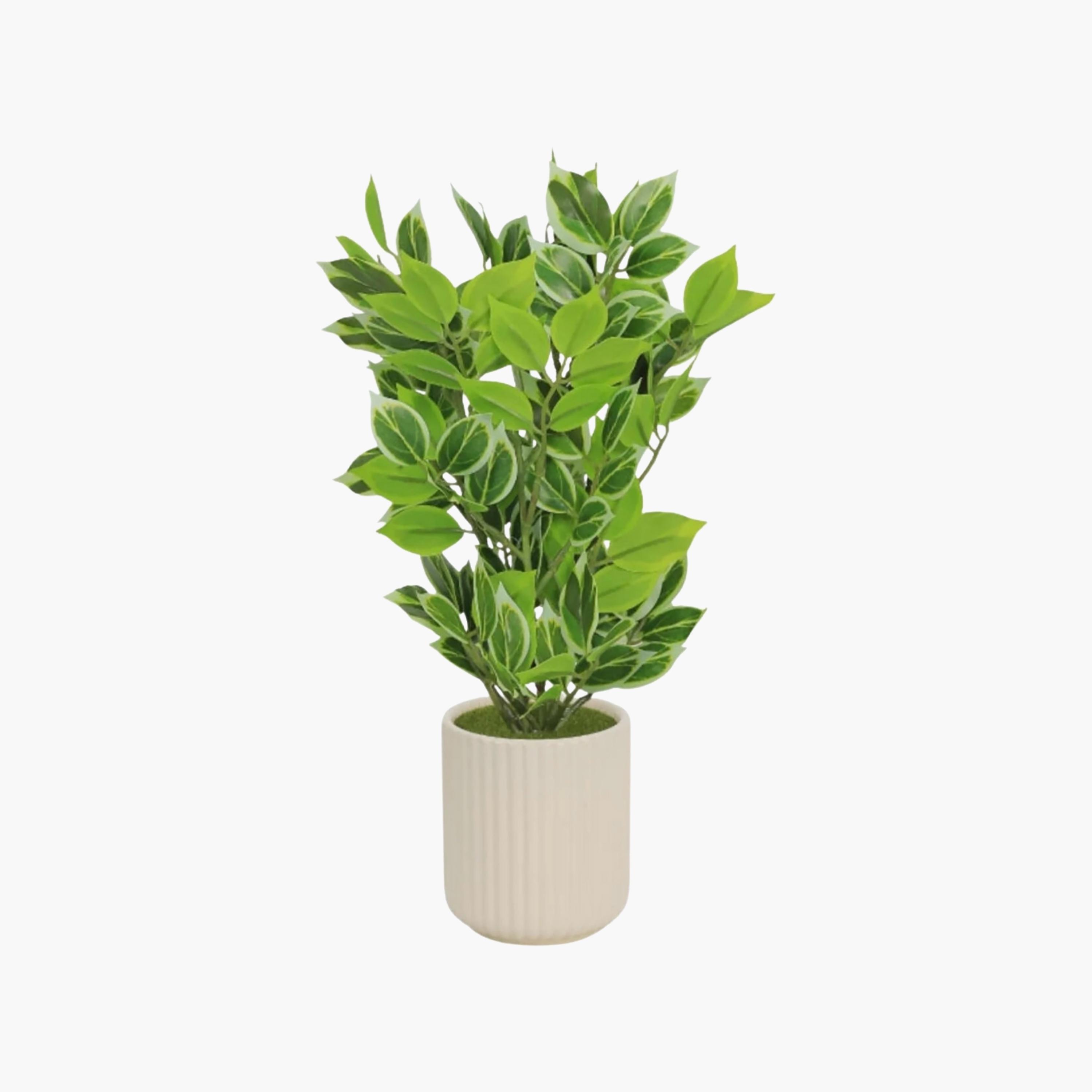 نبتة صناعية بأوراق متعددة الألوان مع إناء سيراميك من ماريا هومز-household-gardenandoutdoor-artificialflowersandplants-flowers-image-2