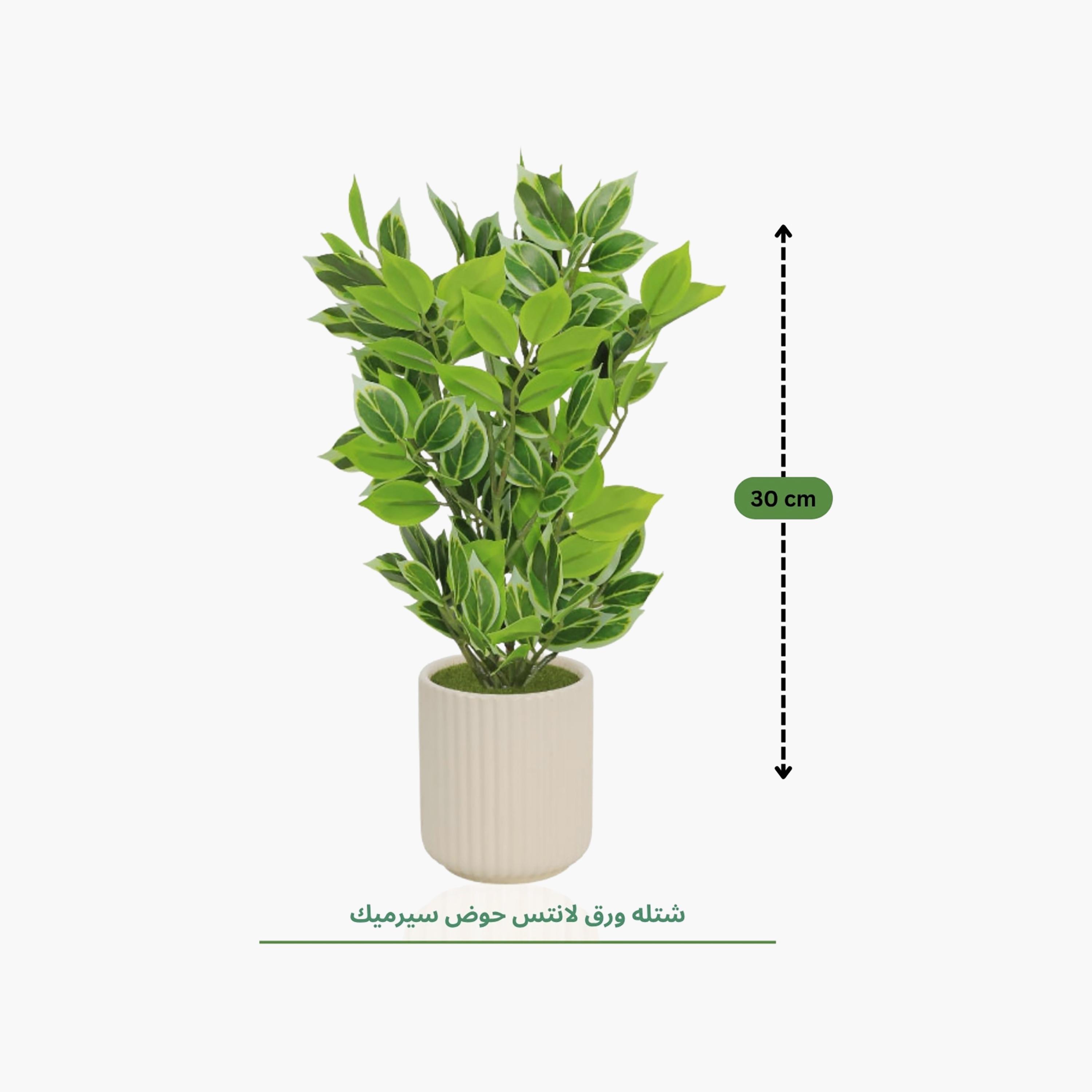 نبتة صناعية بأوراق متعددة الألوان مع إناء سيراميك من ماريا هومز-household-gardenandoutdoor-artificialflowersandplants-flowers-image-4