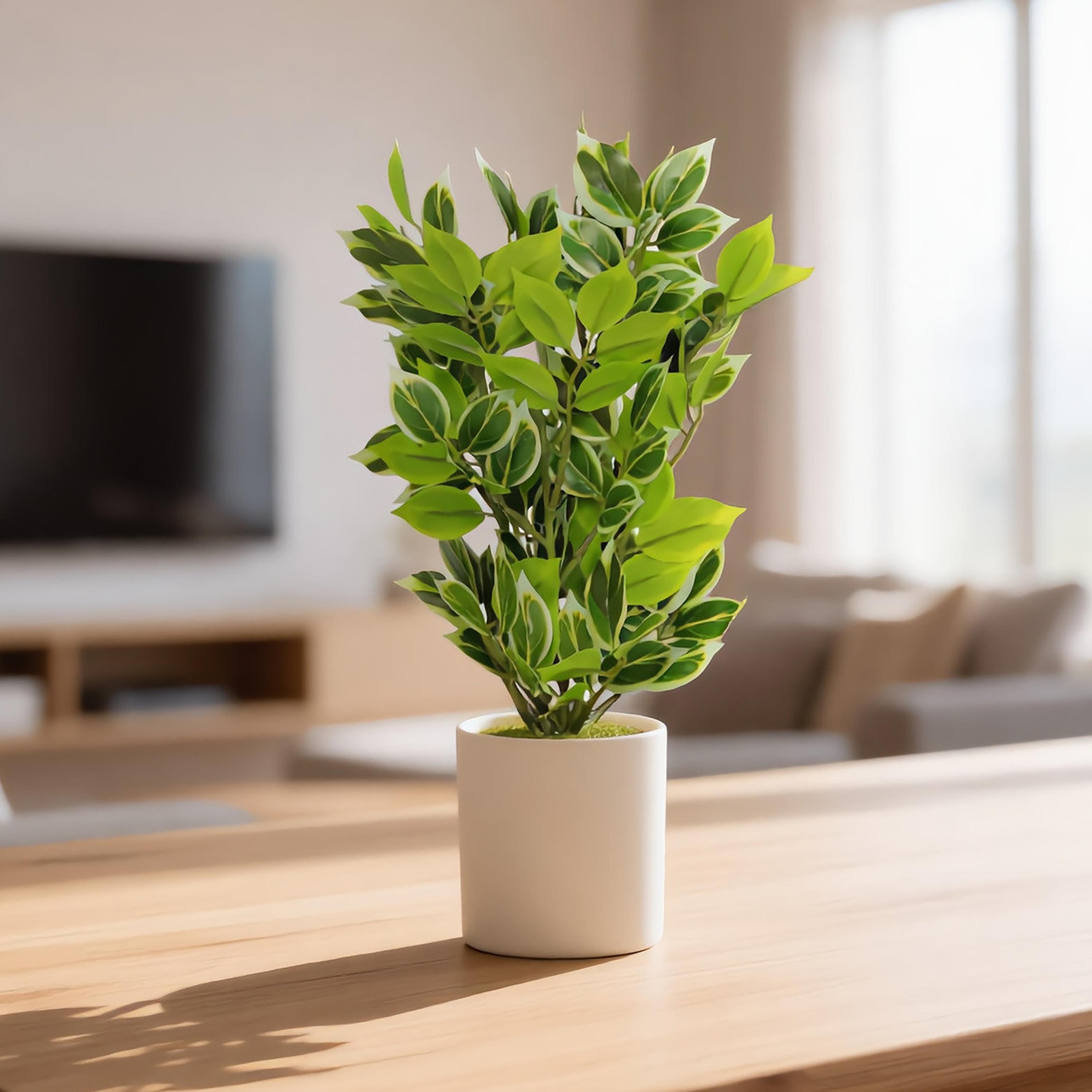 Maria Homes Artificial Variegated Leaf Plant with Ceramic Pot-household-gardenandoutdoor-artificialflowersandplants-flowers-image-1