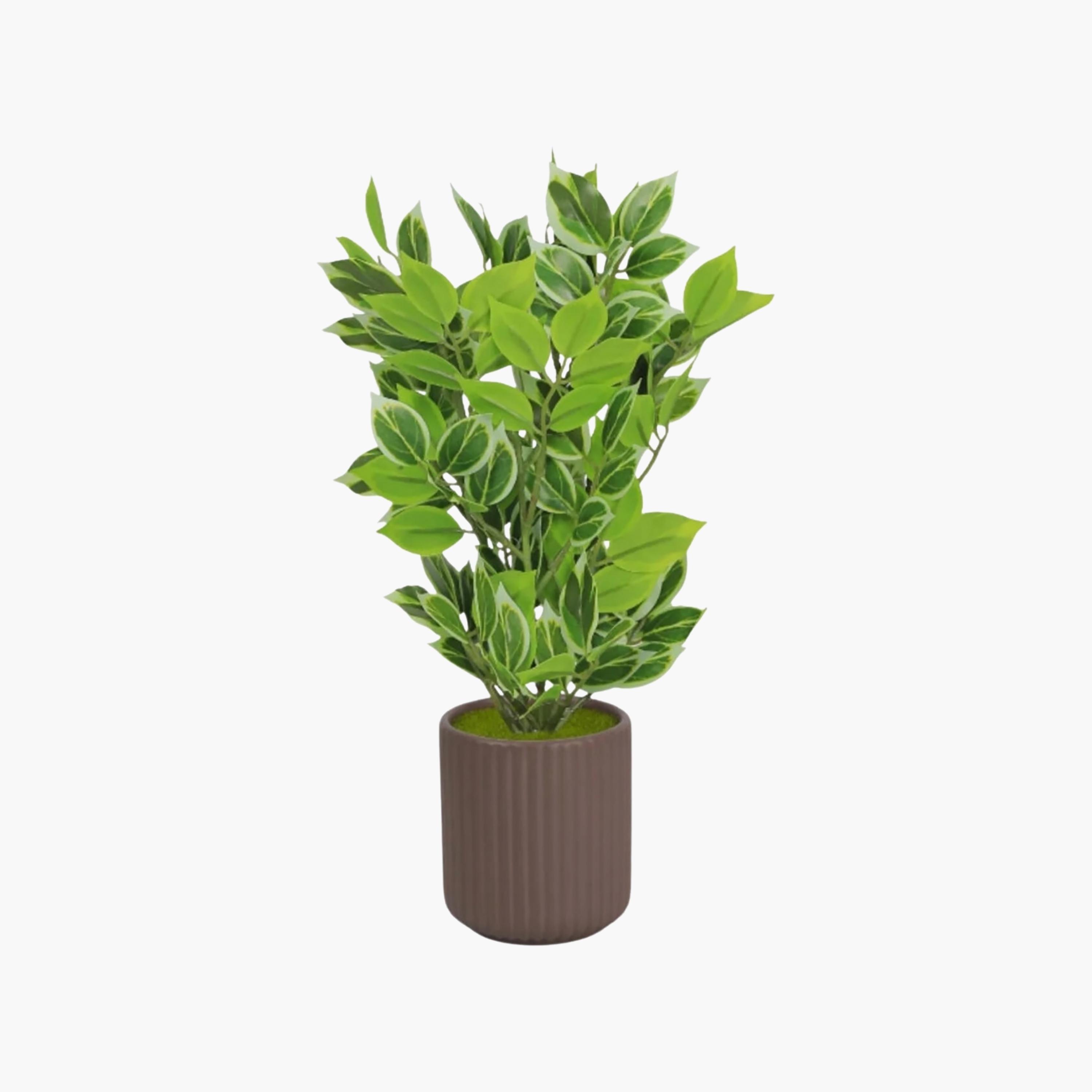 نبتة صناعية بأوراق متعددة الألوان مع إناء سيراميك من ماريا هومز-household-gardenandoutdoor-artificialflowersandplants-flowers-image-2