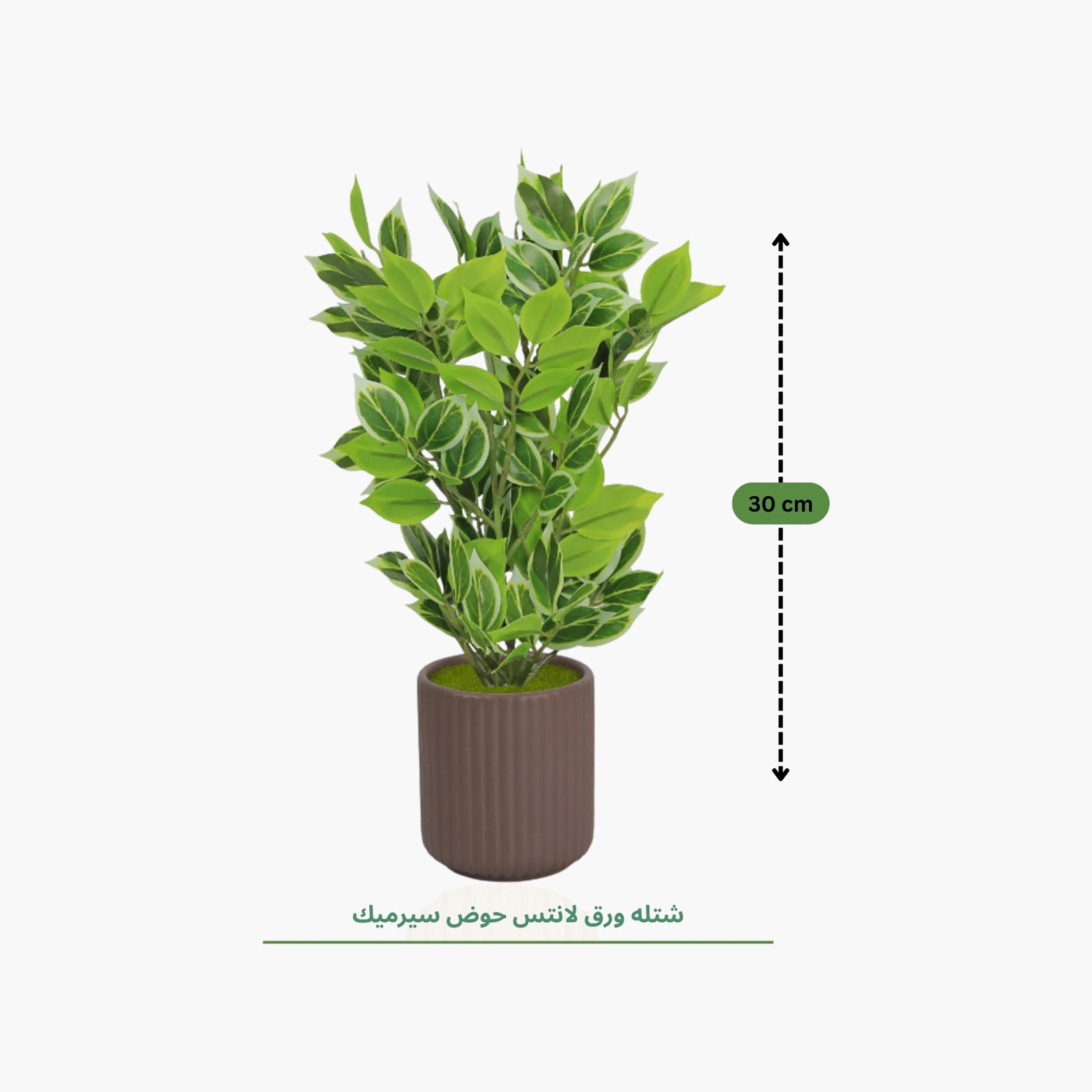 نبتة صناعية بأوراق متعددة الألوان مع إناء سيراميك من ماريا هومز-household-gardenandoutdoor-artificialflowersandplants-flowers-image-4