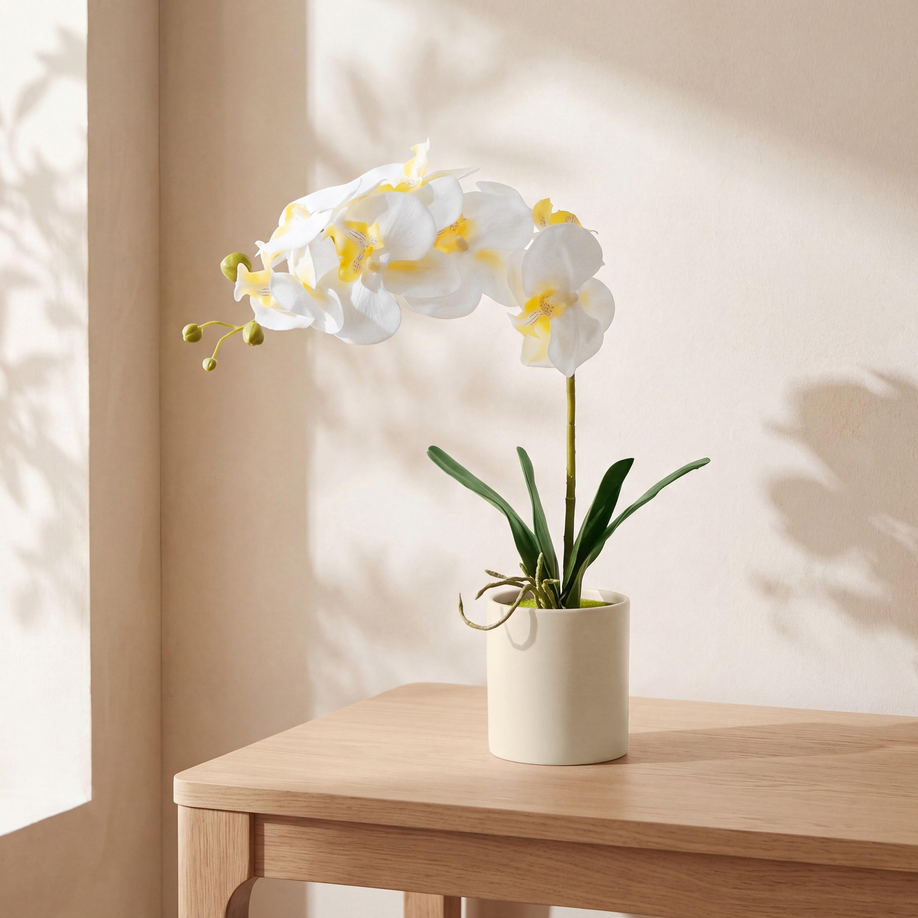 نبتة أوركيد صناعية مع إناء سيراميك من ماريا هومز-household-gardenandoutdoor-artificialflowersandplants-flowers-image-1