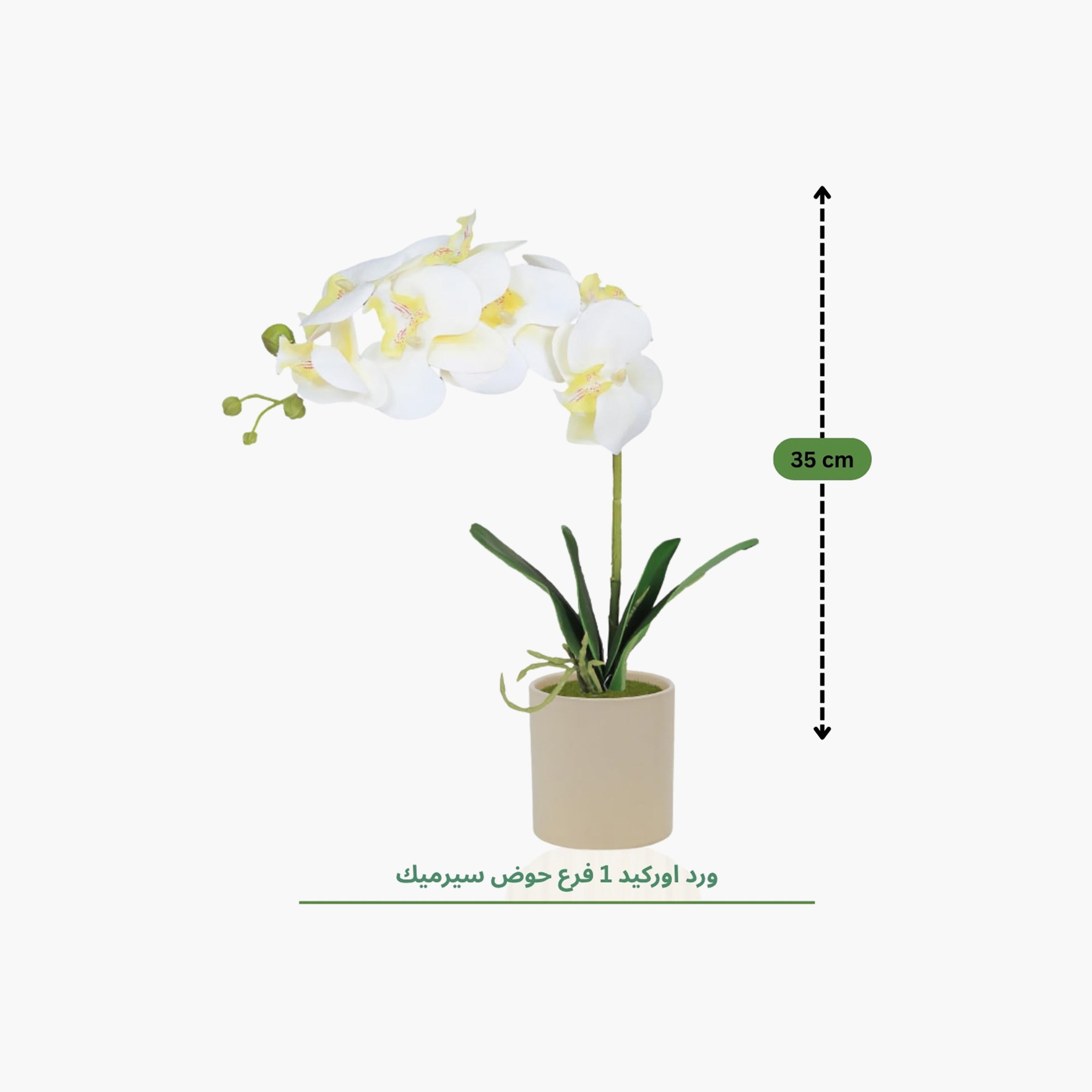 نبتة أوركيد صناعية مع إناء سيراميك من ماريا هومز-household-gardenandoutdoor-artificialflowersandplants-flowers-image-4