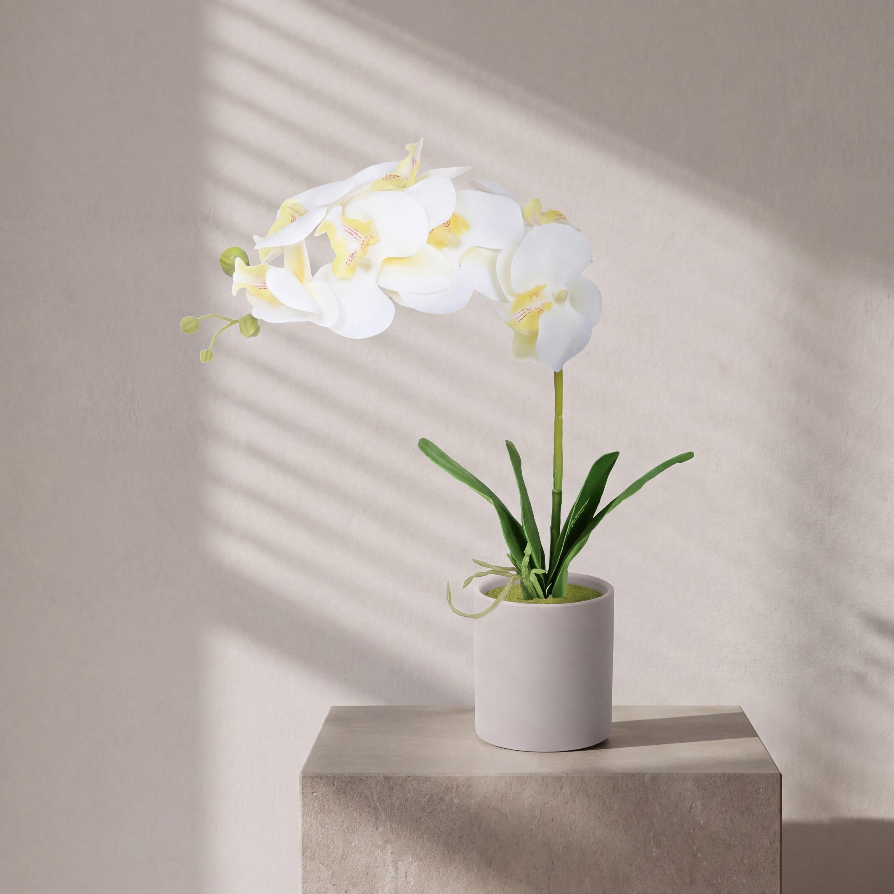 Maria Homes Artificial Orchid Plant with Ceramic Pot-household-gardenandoutdoor-artificialflowersandplants-flowers-image-1