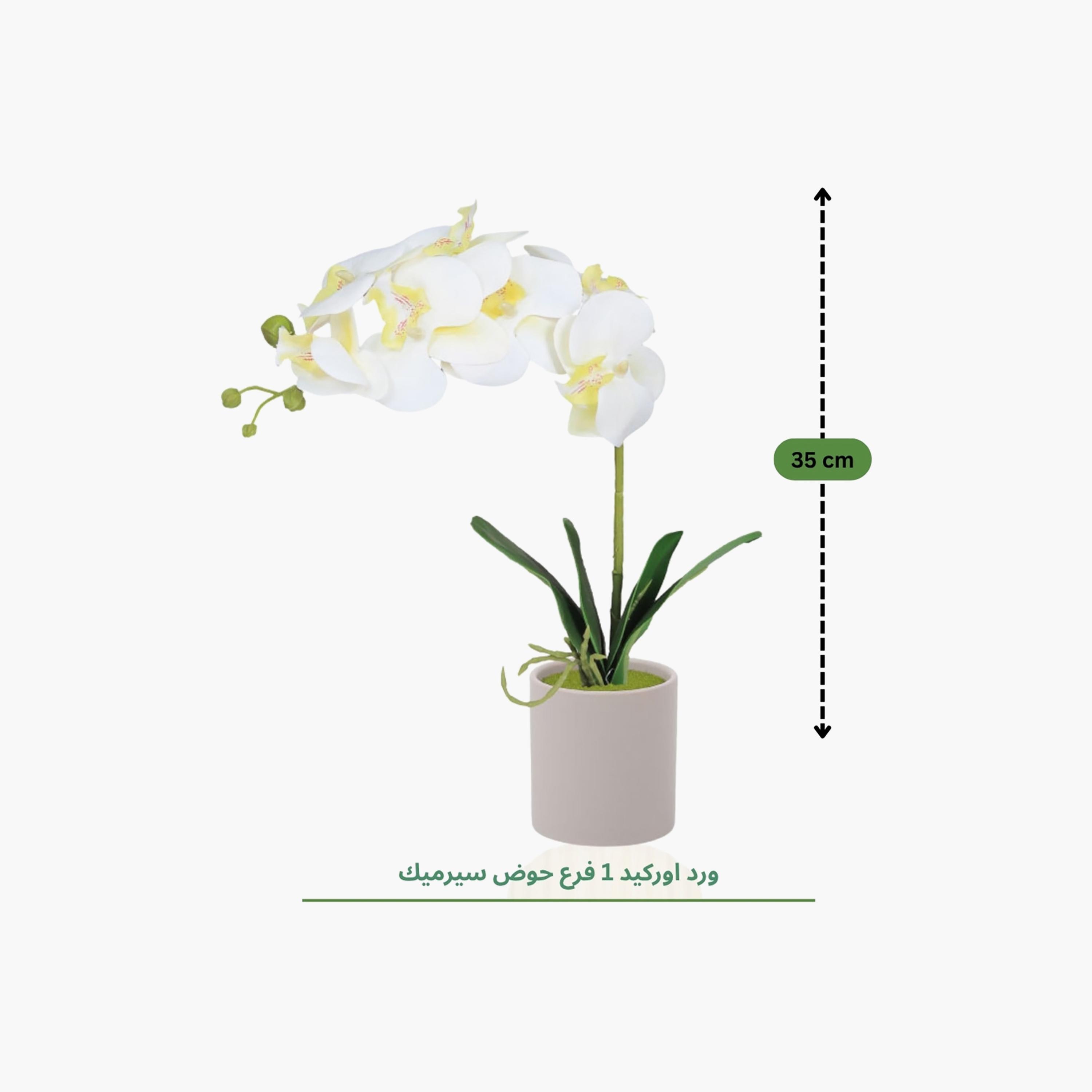 Maria Homes Artificial Orchid Plant with Ceramic Pot-household-gardenandoutdoor-artificialflowersandplants-flowers-image-4
