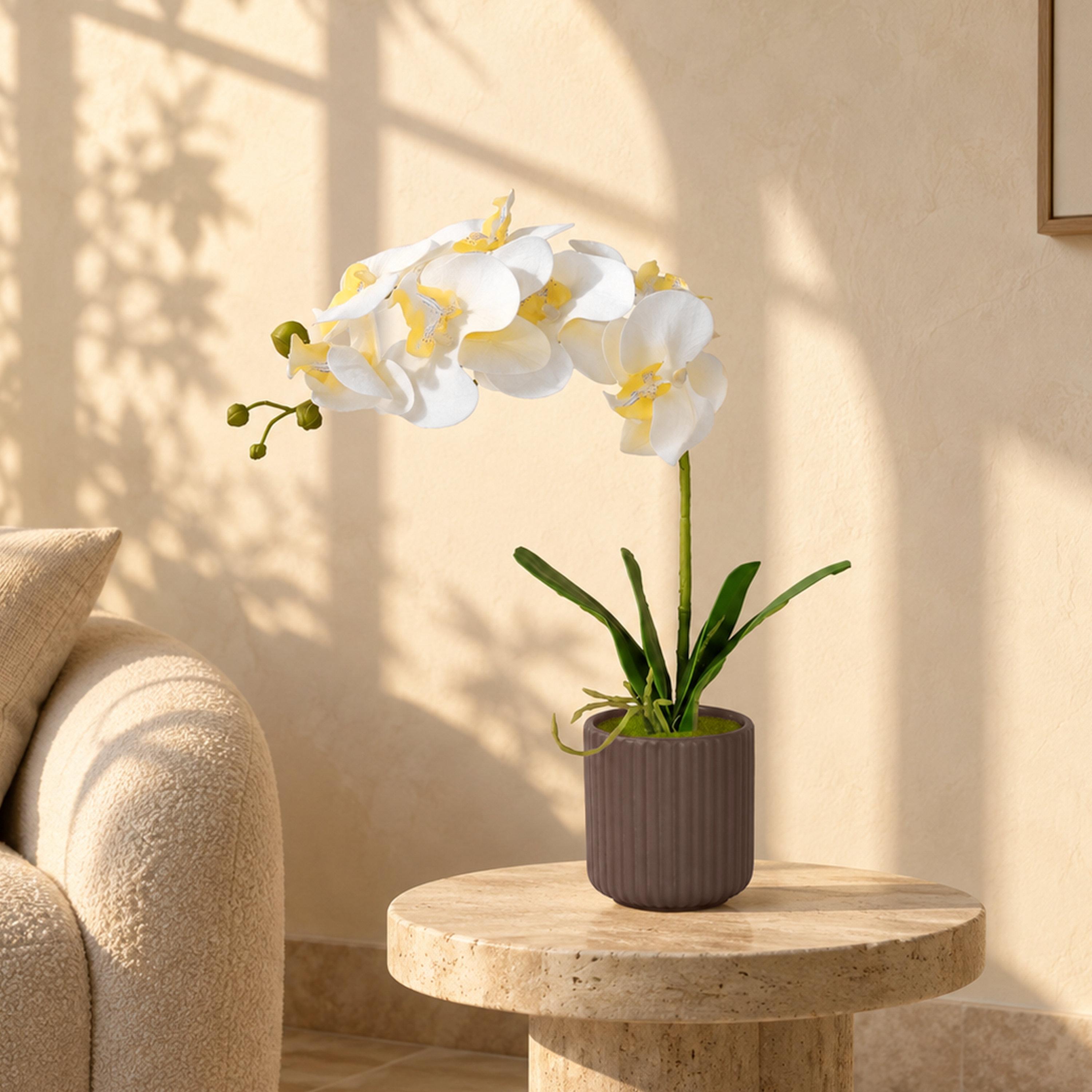 Maria Homes Artificial Orchid Plant with Ceramic Pot-household-gardenandoutdoor-artificialflowersandplants-flowers-image-1