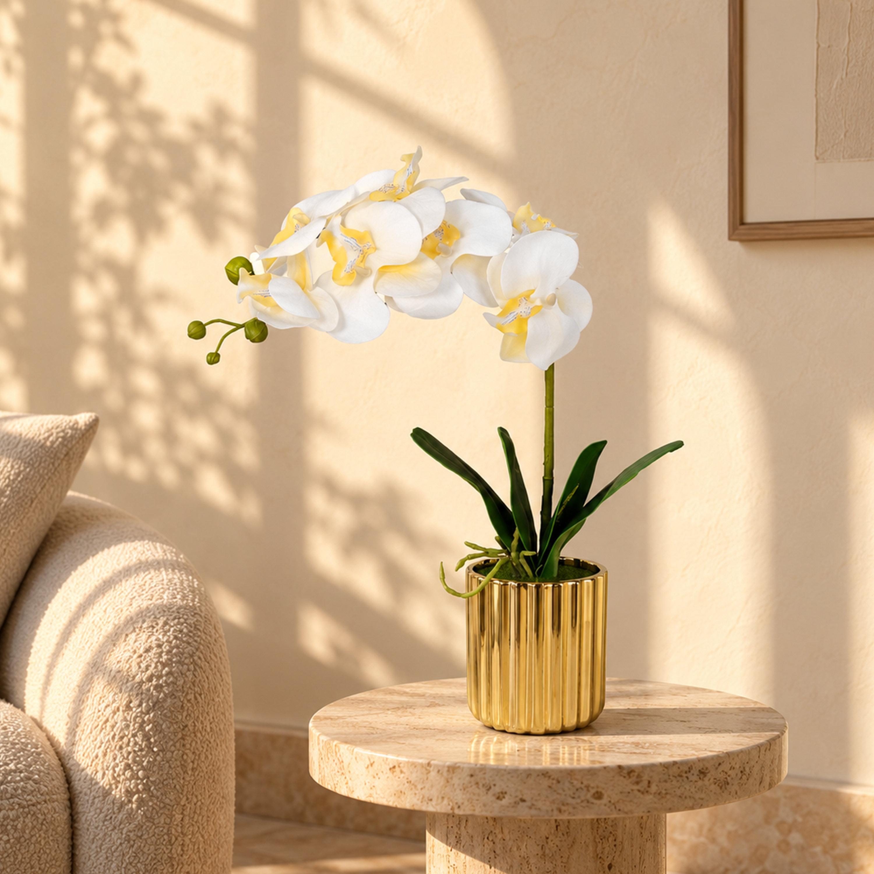 Maria Homes Gold Artificial Orchid Plant with Ceramic Pot-household-gardenandoutdoor-artificialflowersandplants-flowers-image-1