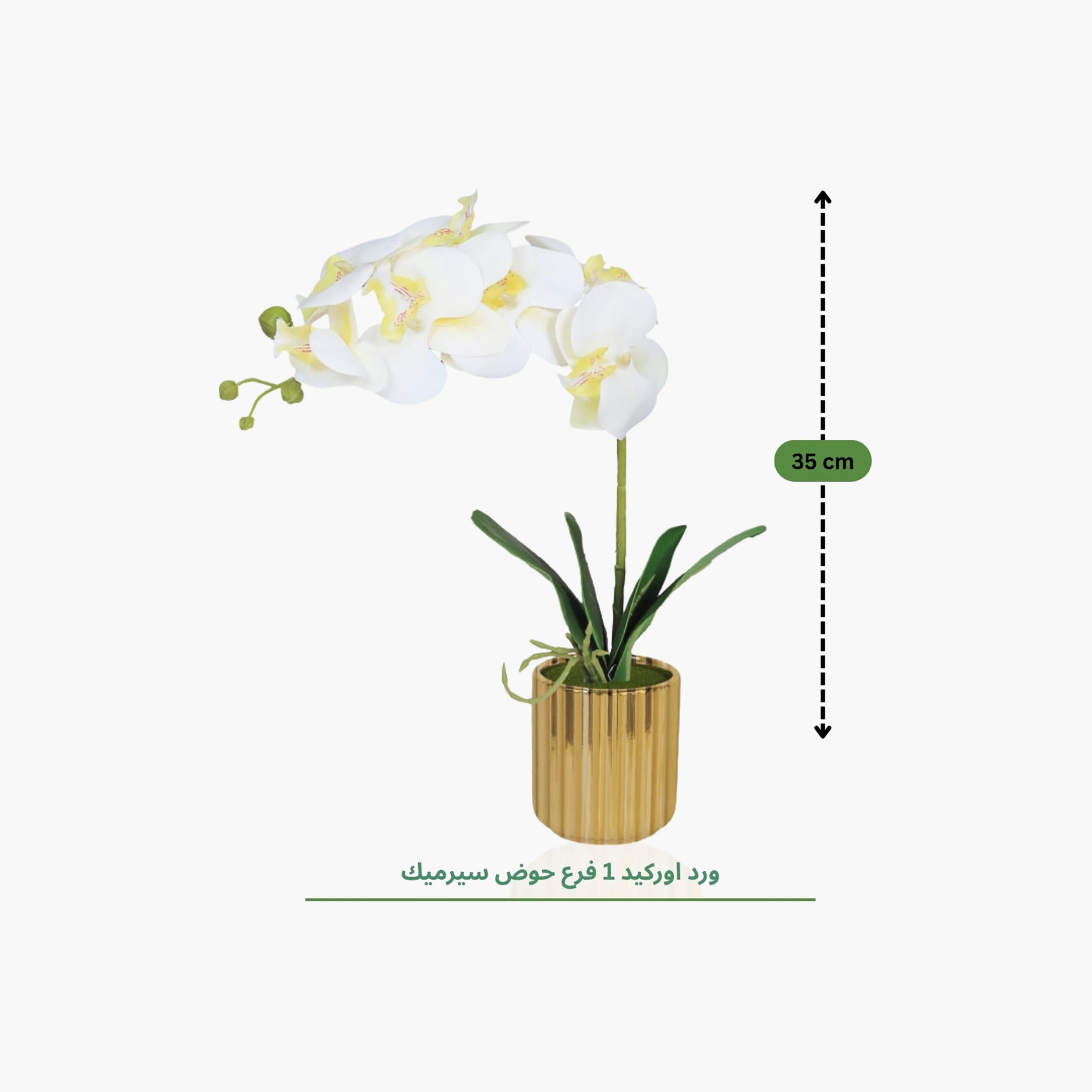 Maria Homes Gold Artificial Orchid Plant with Ceramic Pot-household-gardenandoutdoor-artificialflowersandplants-flowers-image-4