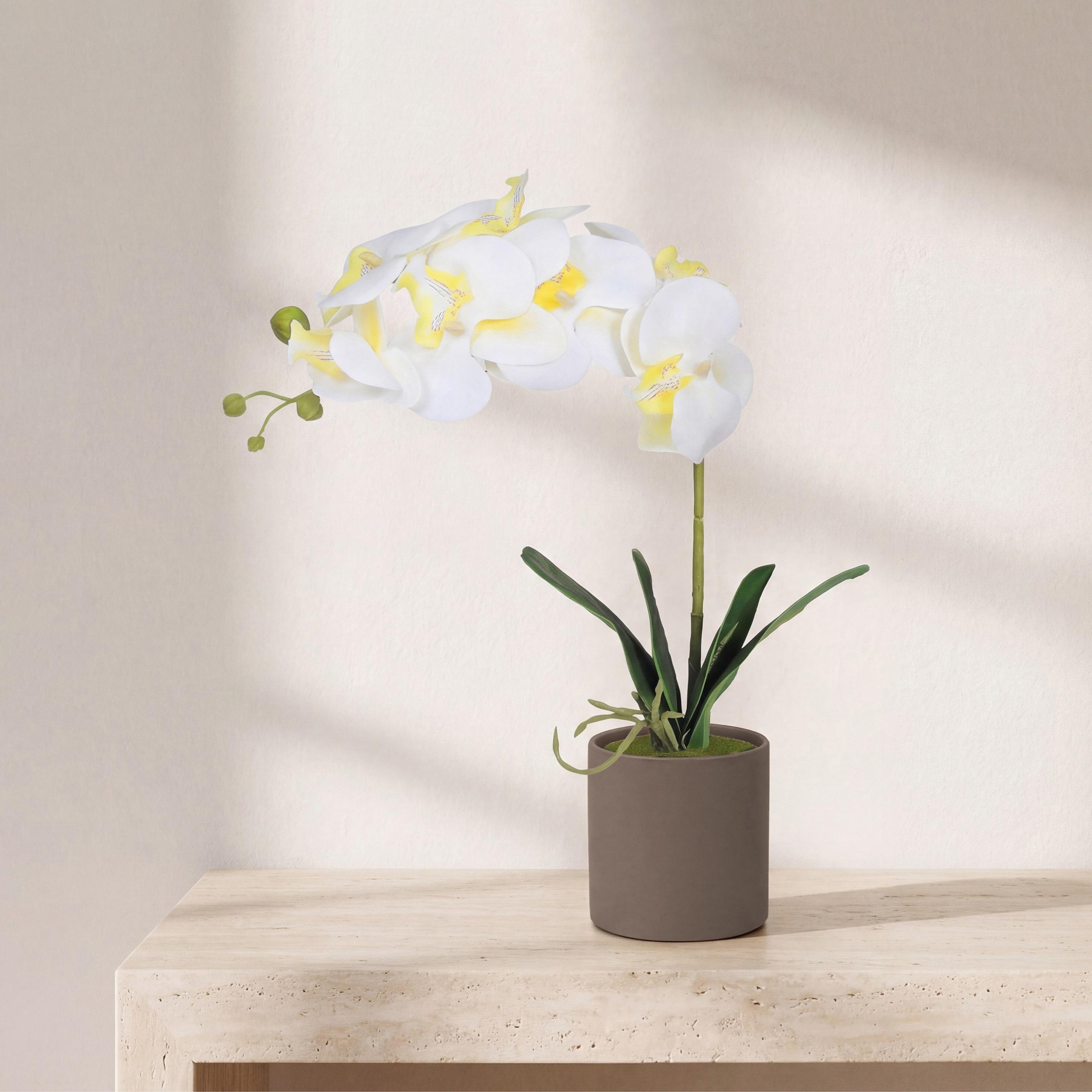 Maria Homes Artificial Orchid Plant with Ceramic Pot-household-gardenandoutdoor-artificialflowersandplants-flowers-image-1