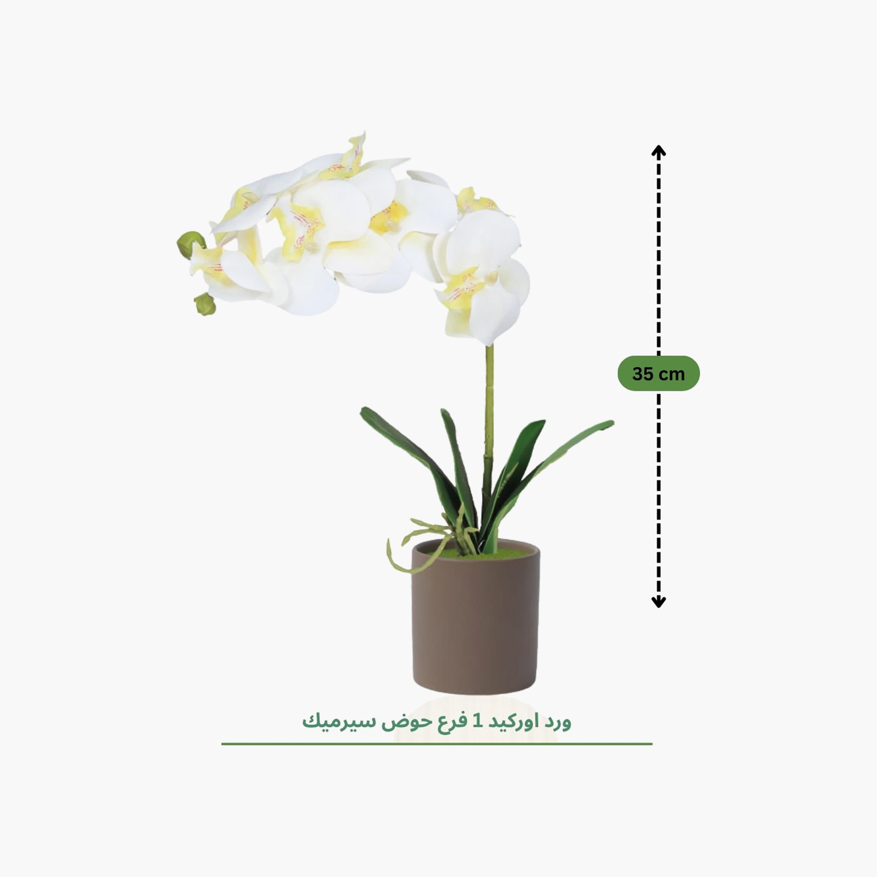 Maria Homes Artificial Orchid Plant with Ceramic Pot-household-gardenandoutdoor-artificialflowersandplants-flowers-image-4