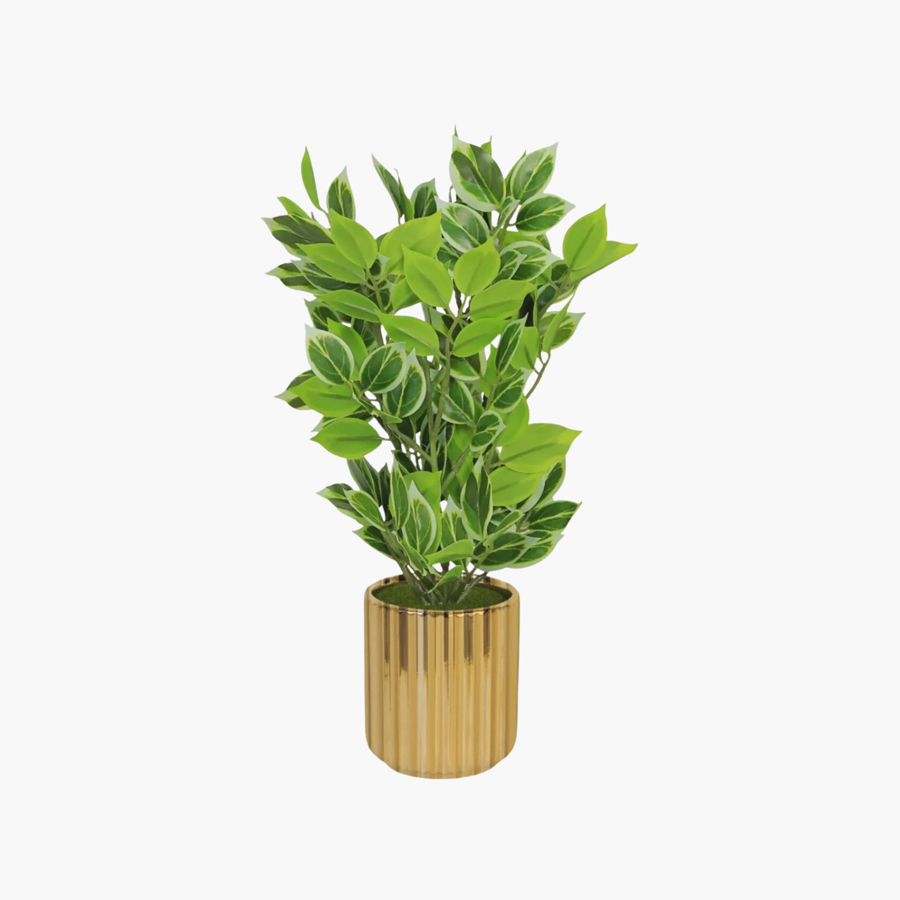 نبتة صناعية بأوراق متنوعة اللون ذهب مع أصيص سيراميك من ماريا هومز-household-gardenandoutdoor-artificialflowersandplants-flowers-image-2