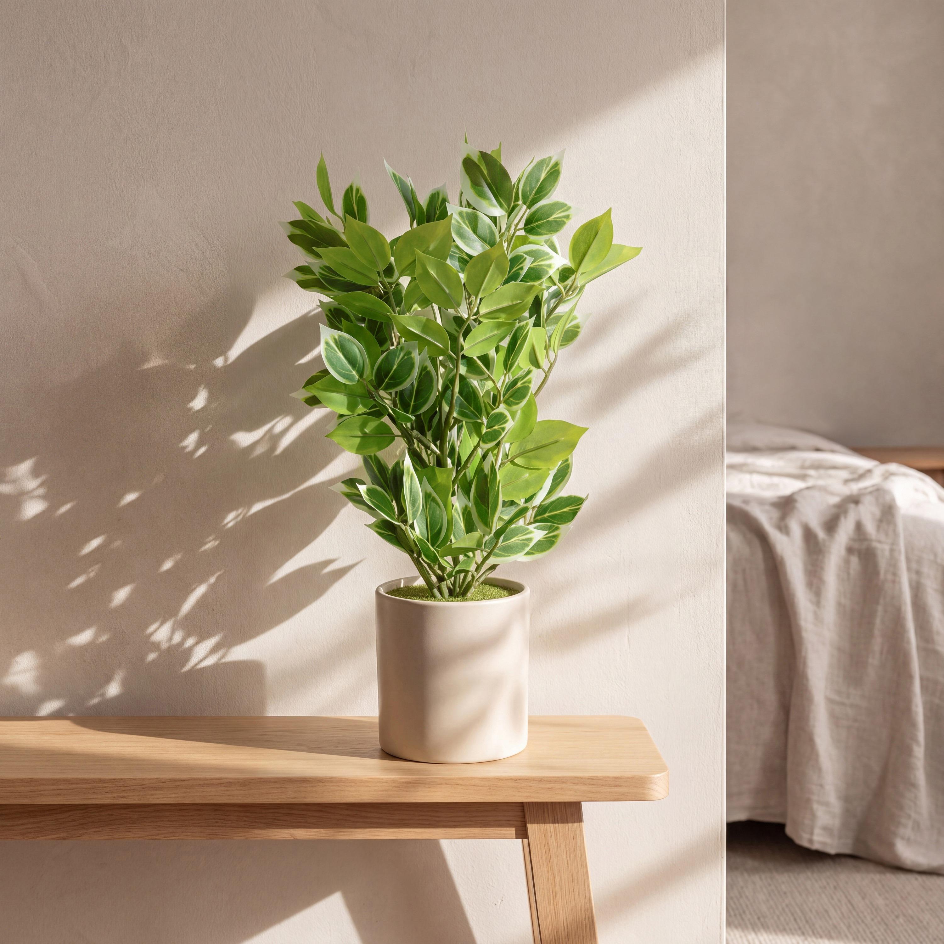 Maria Homes Artificial Variegated Leaf Plant with Ceramic Pot-household-gardenandoutdoor-artificialflowersandplants-flowers-image-1