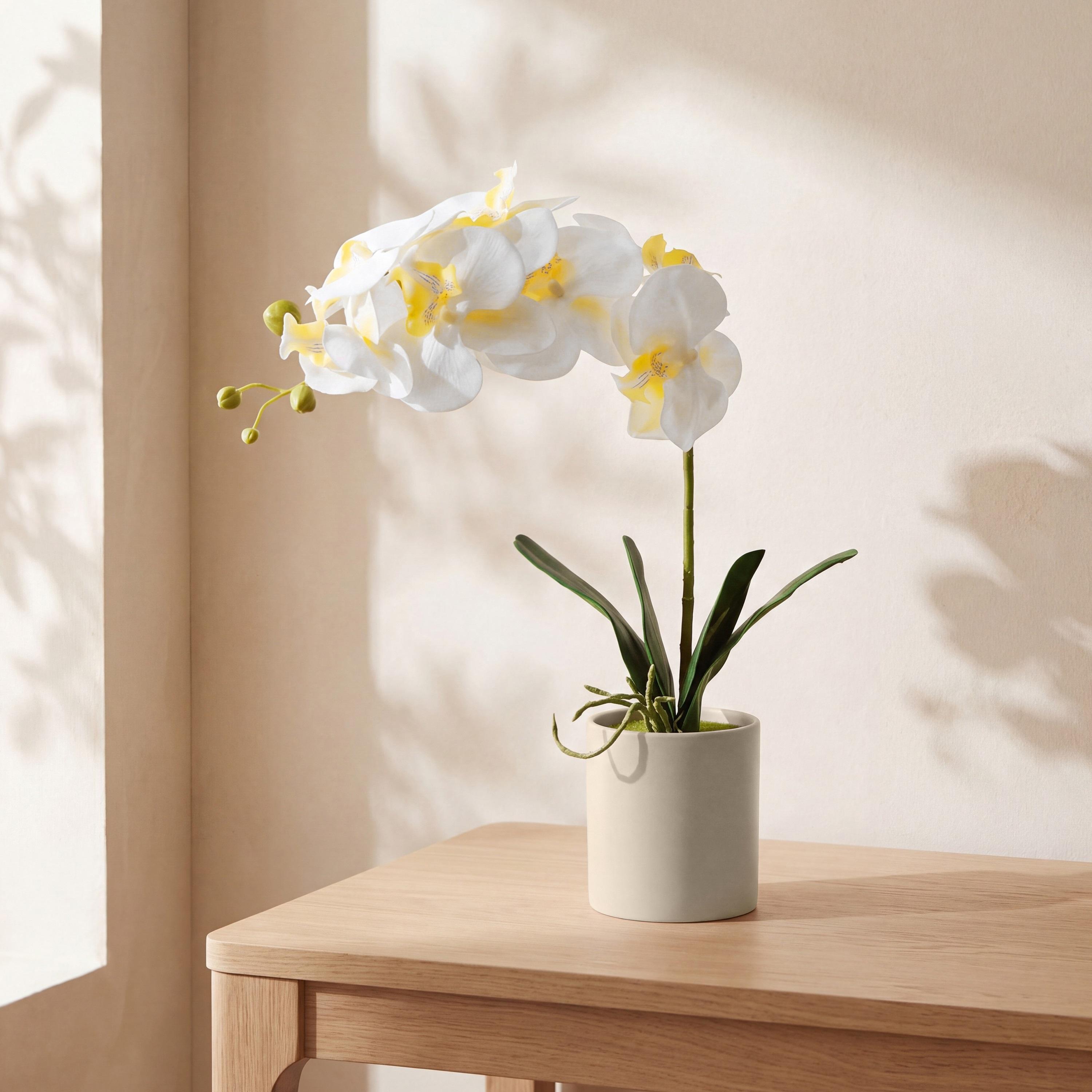 Maria Homes Artificial Orchid Plant with Ceramic Pot-household-gardenandoutdoor-artificialflowersandplants-flowers-image-1