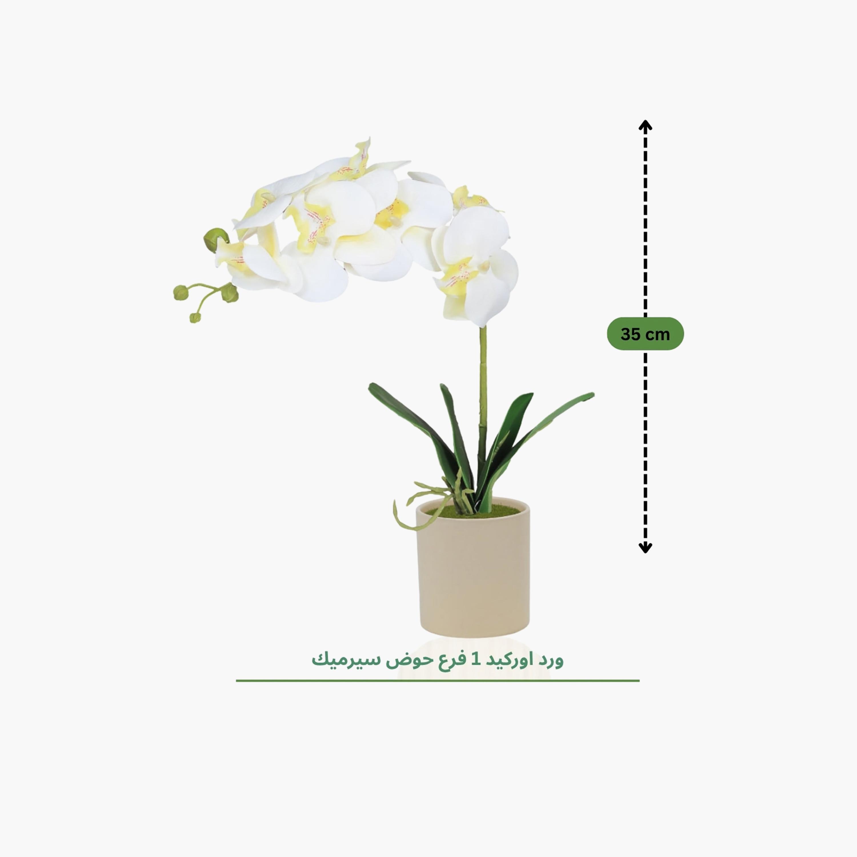 Maria Homes Artificial Orchid Plant with Ceramic Pot-household-gardenandoutdoor-artificialflowersandplants-flowers-image-4