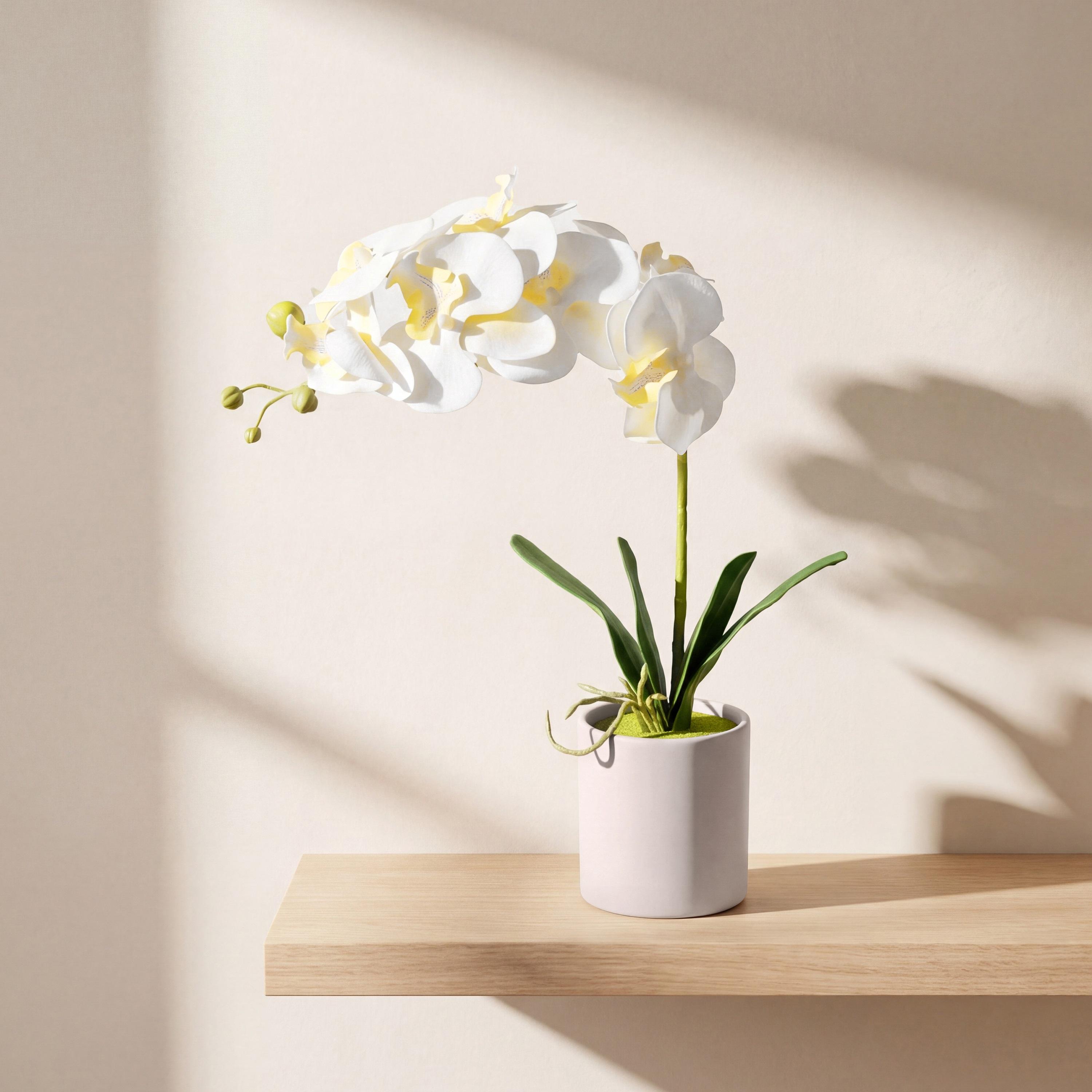 Maria Homes Artificial Orchid Plant with Ceramic Pot-household-gardenandoutdoor-artificialflowersandplants-flowers-image-1