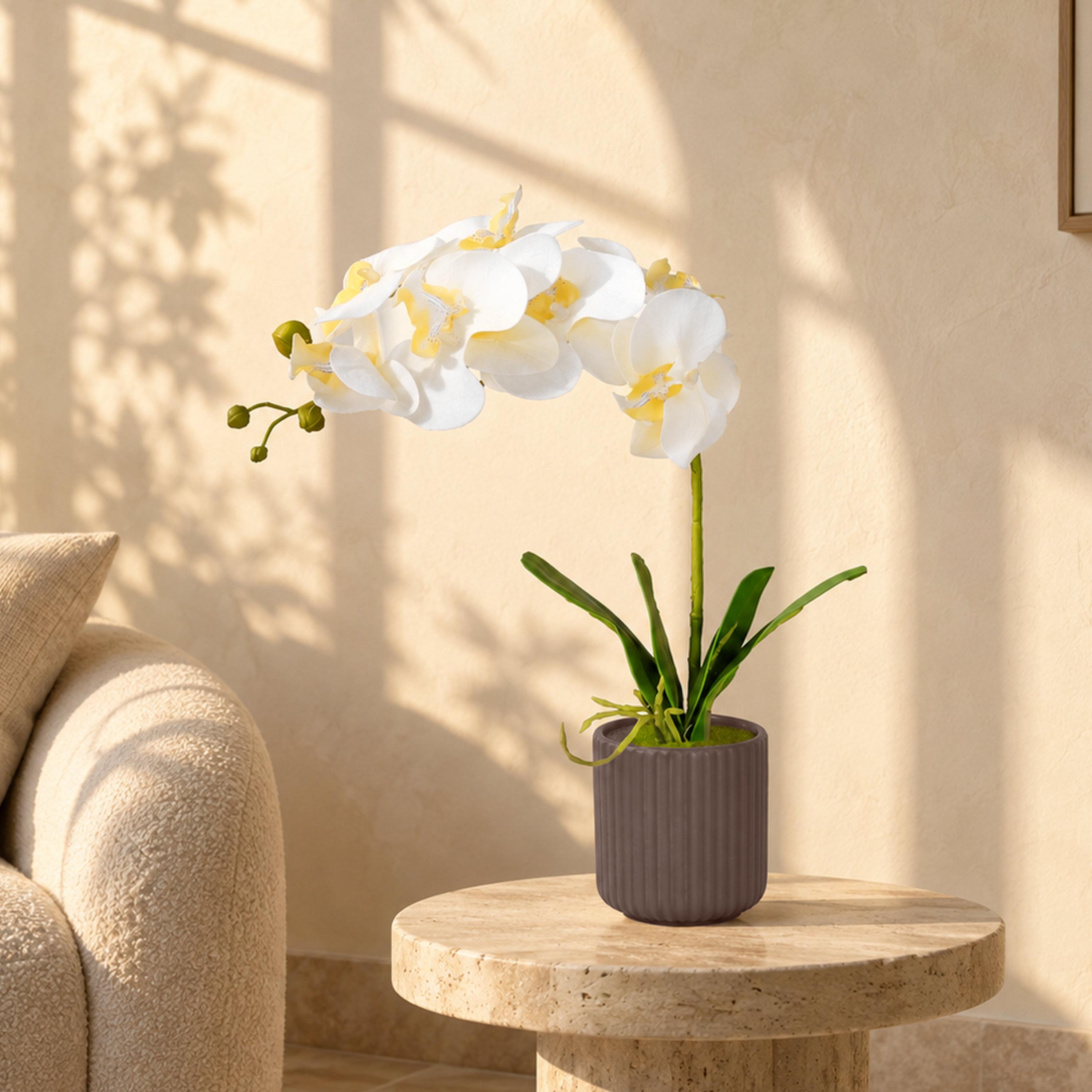 Maria Homes Brown Artificial Orchid Plant with Ceramic Pot-household-gardenandoutdoor-artificialflowersandplants-flowers-image-1