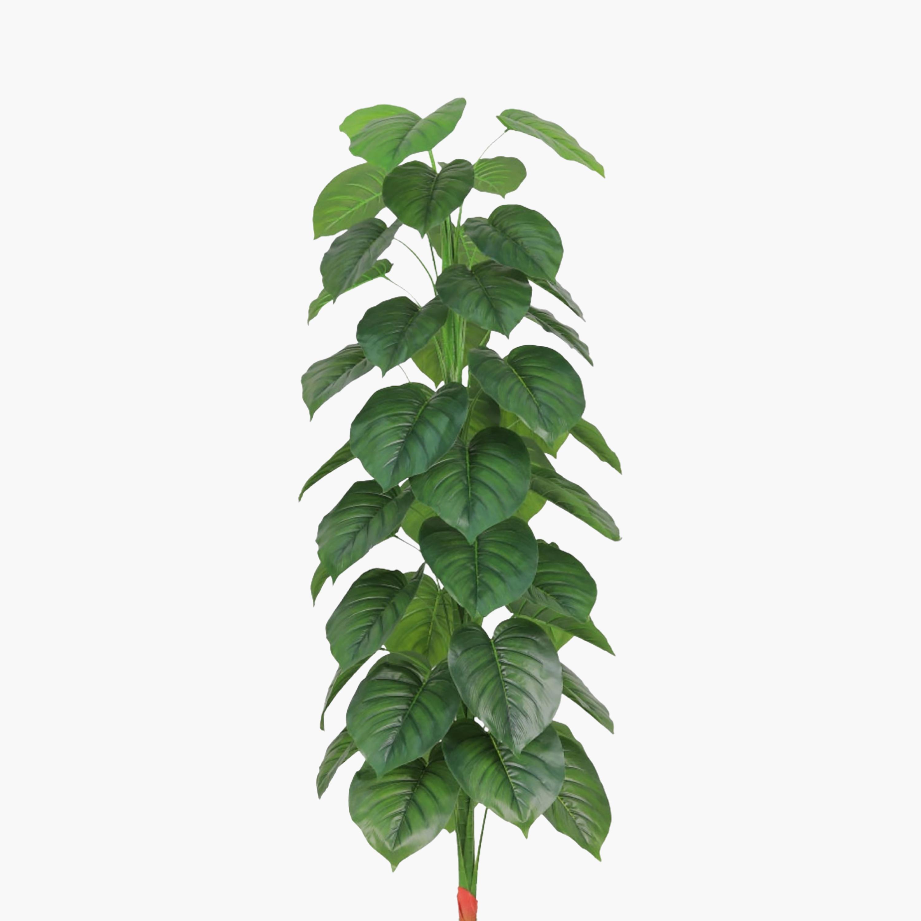 نبتة فيكس صناعية بيضاء مع وعاء سيراميك من ماريا هومز-household-gardenandoutdoor-artificialflowersandplants-flowers-image-3