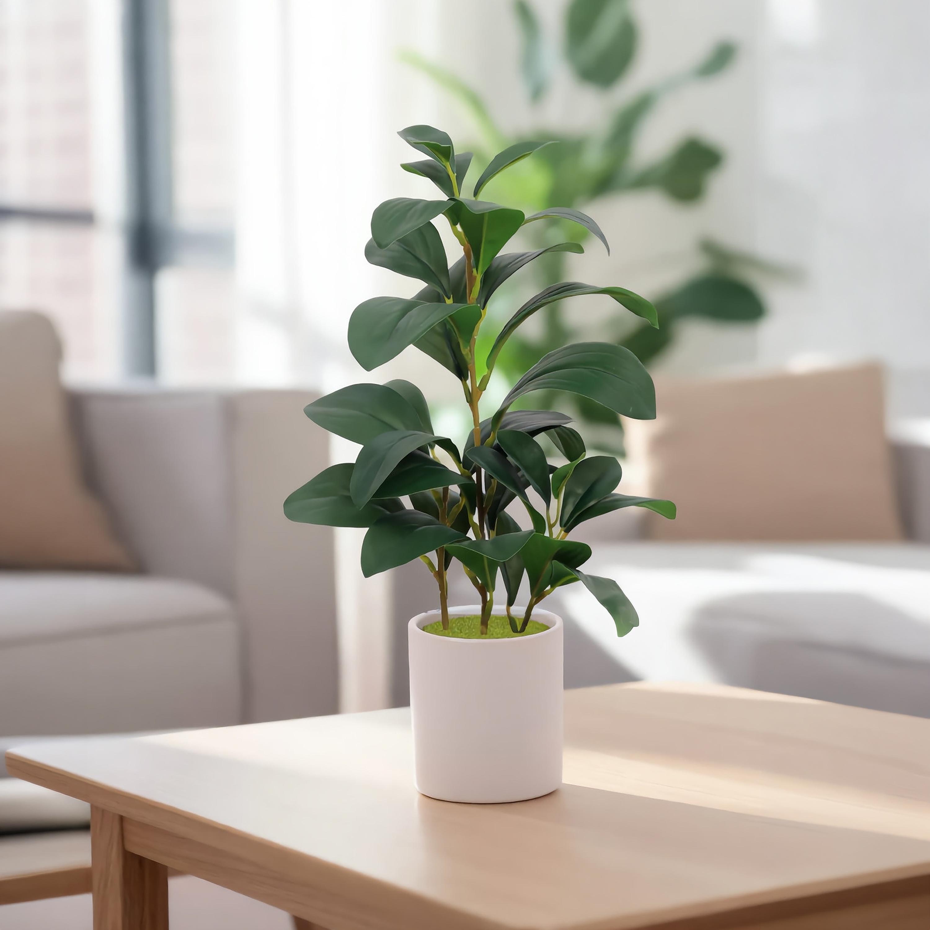 نبتة ليمون صناعية بلون الكريمه مع أصيص سيراميك من ماريا هومز-household-gardenandoutdoor-artificialflowersandplants-flowers-image-1